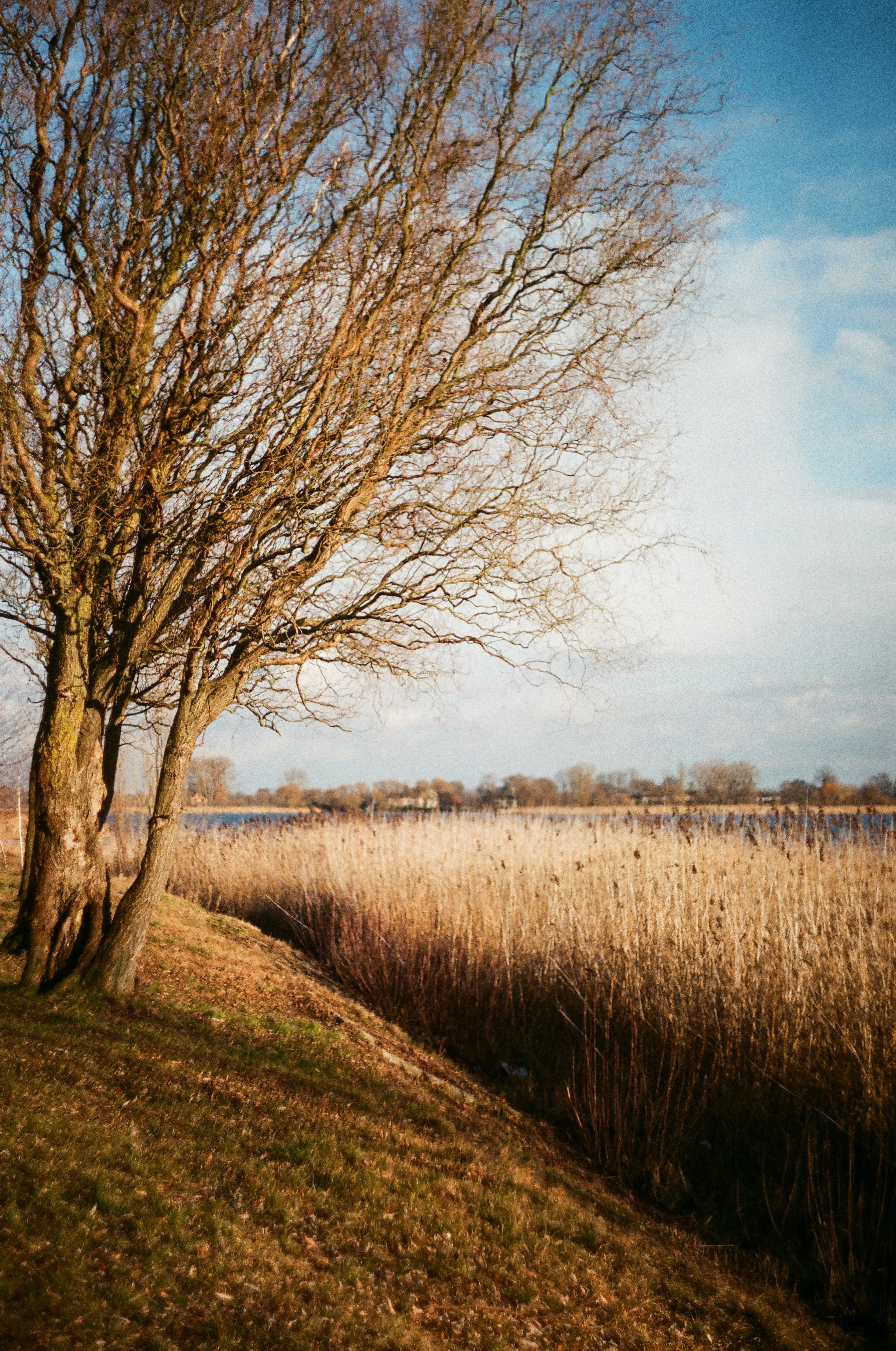 Photo by mineral_of_demon