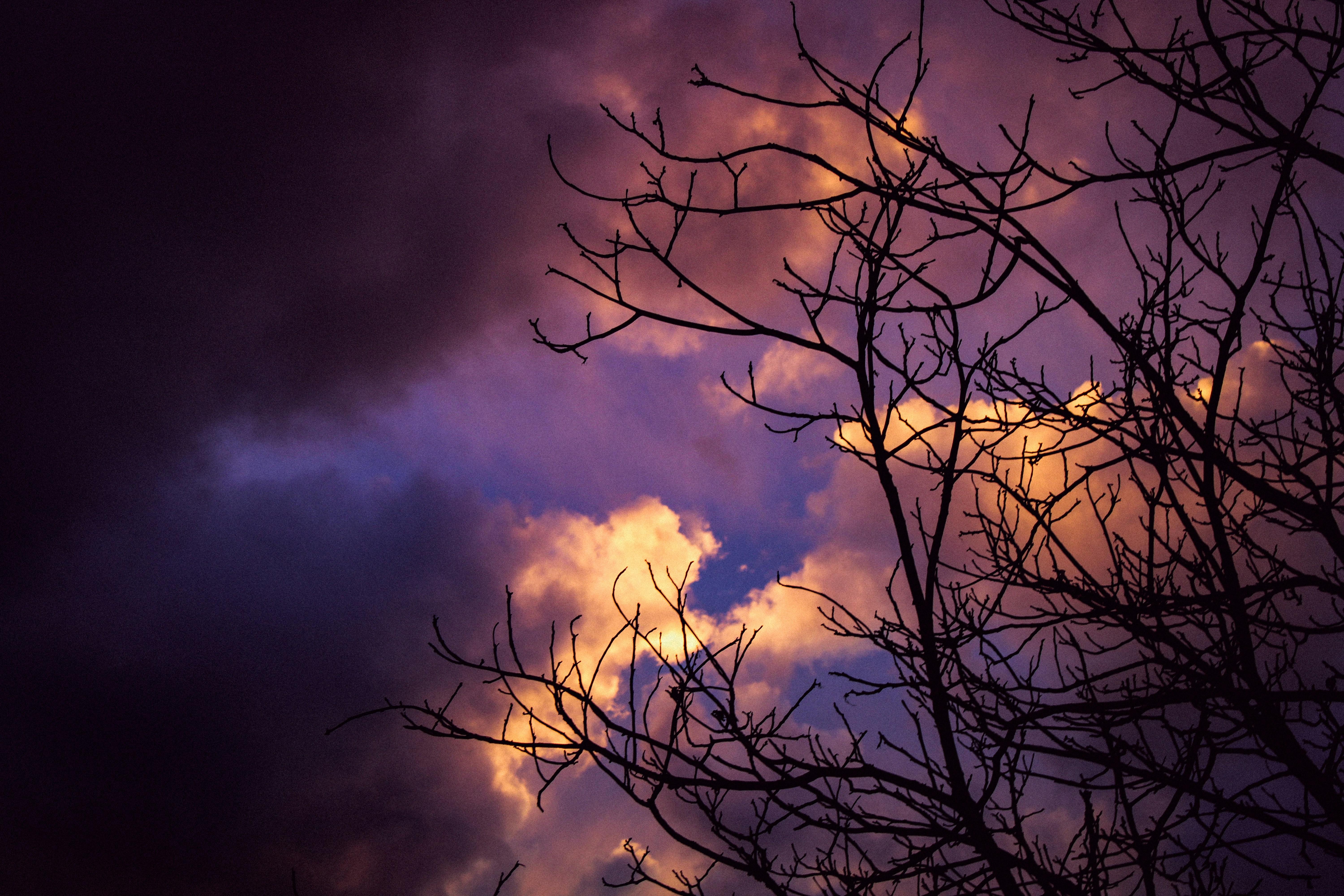 Photo by mineral_of_demon