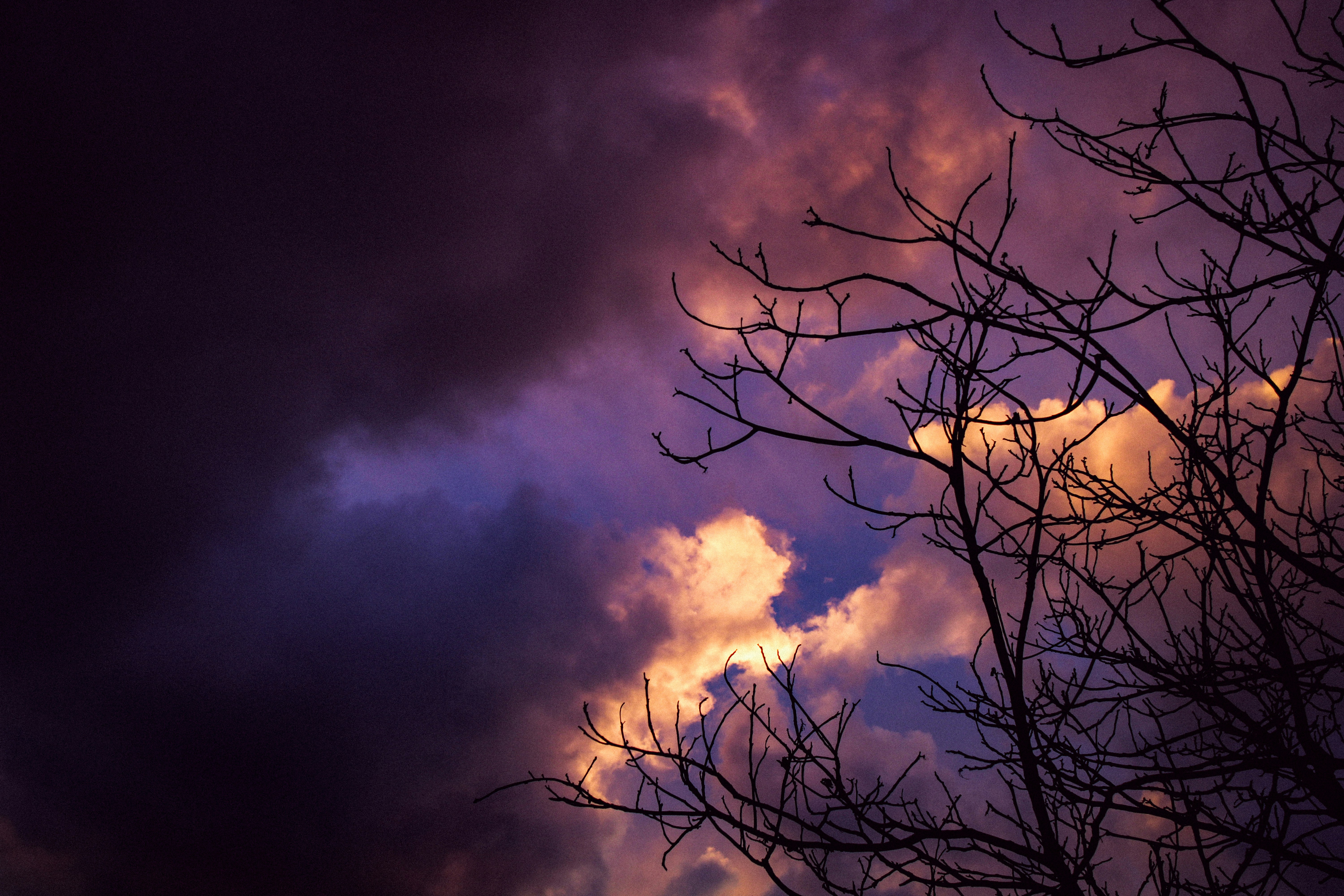 Photo by mineral_of_demon