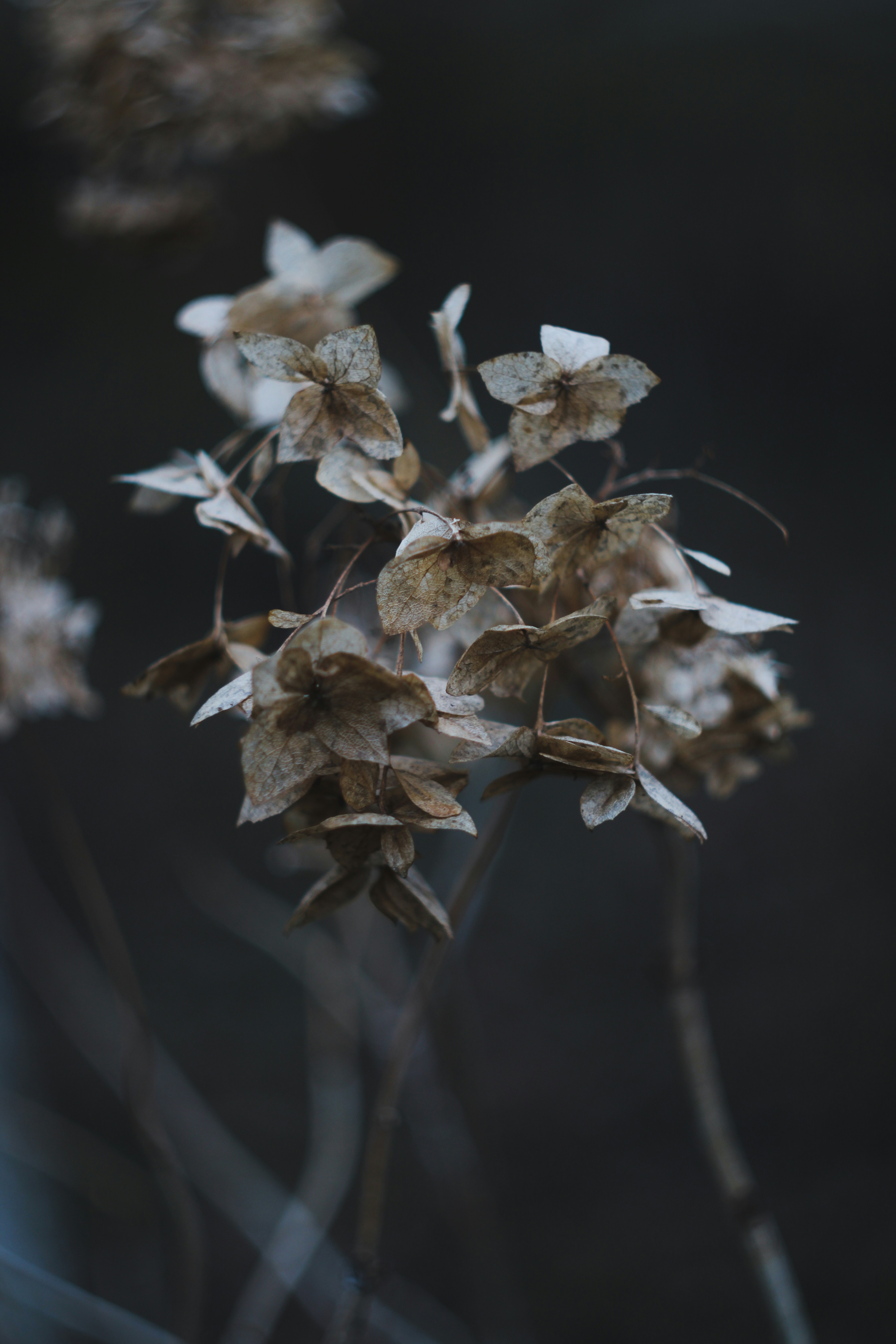 Photo by mineral_of_demon