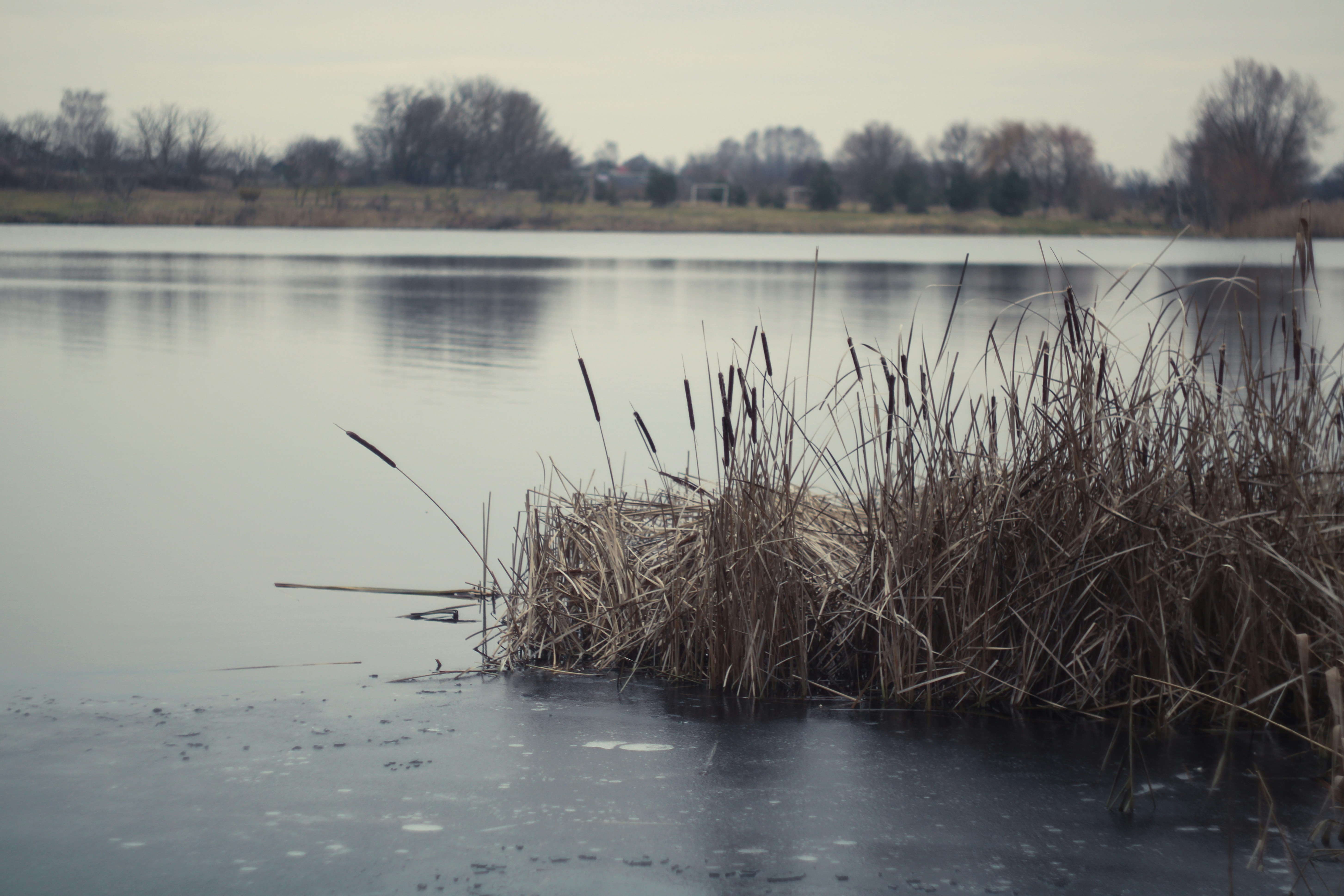 Photo by mineral_of_demon