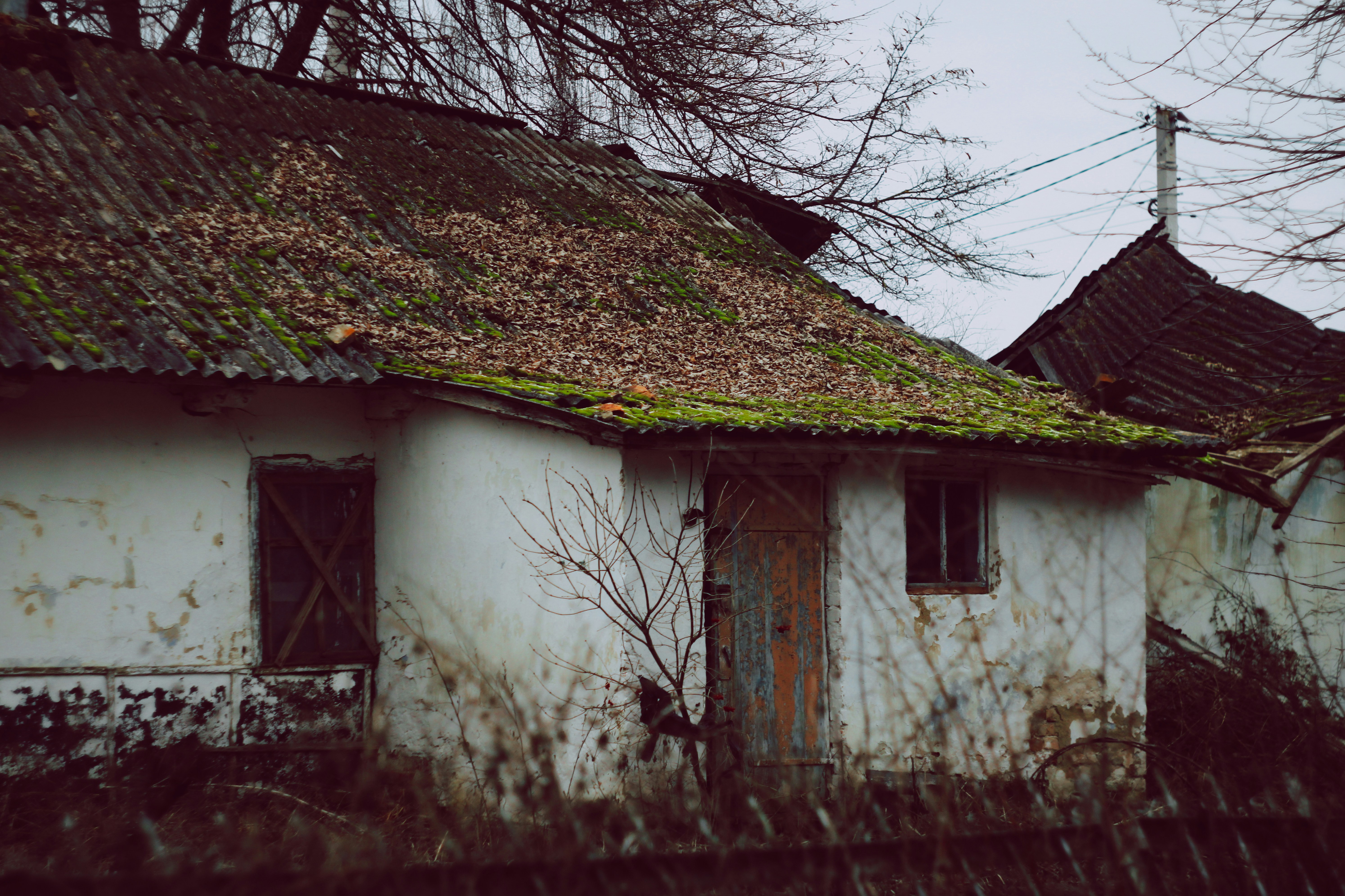 Photo by mineral_of_demon