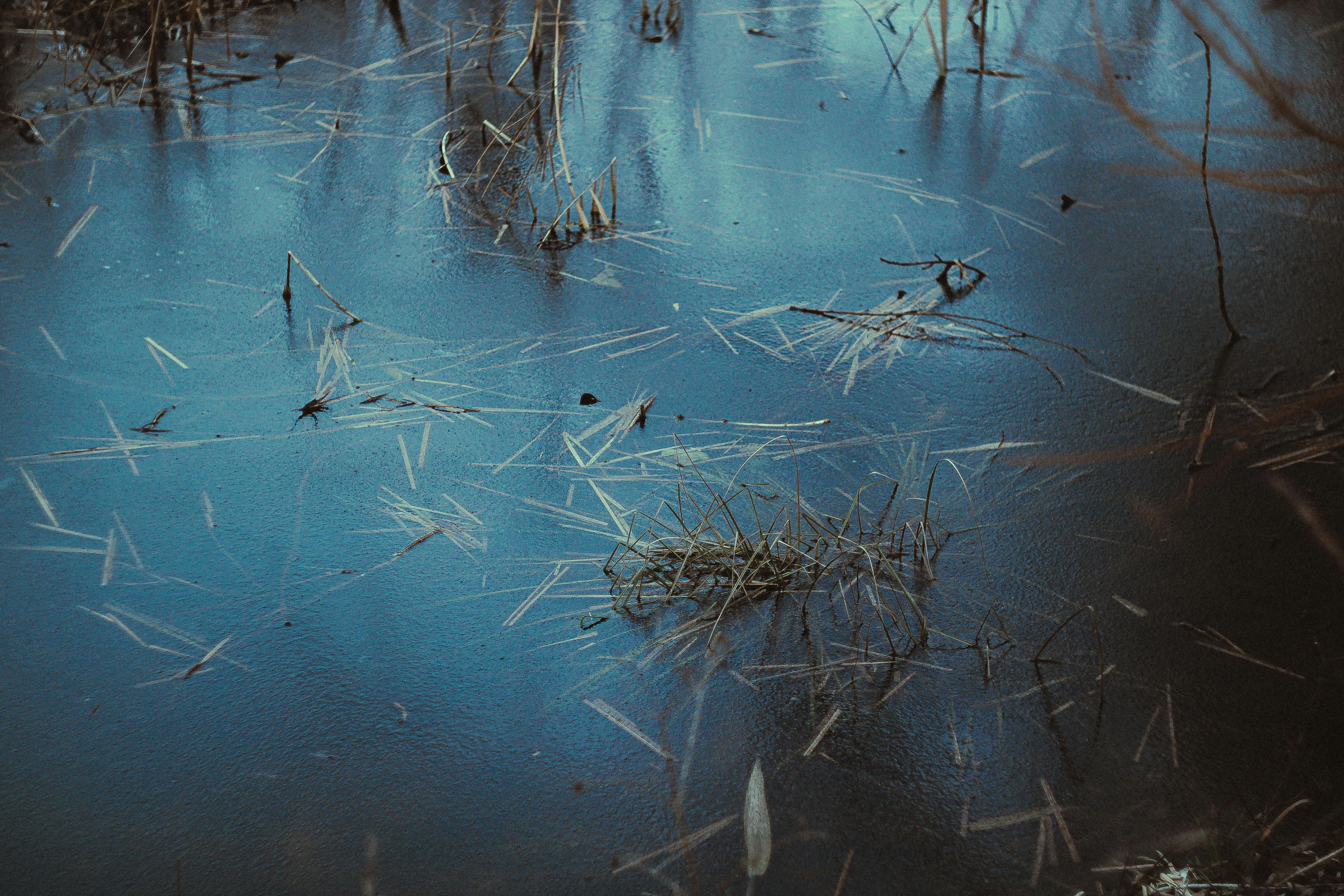 Photo by mineral_of_demon