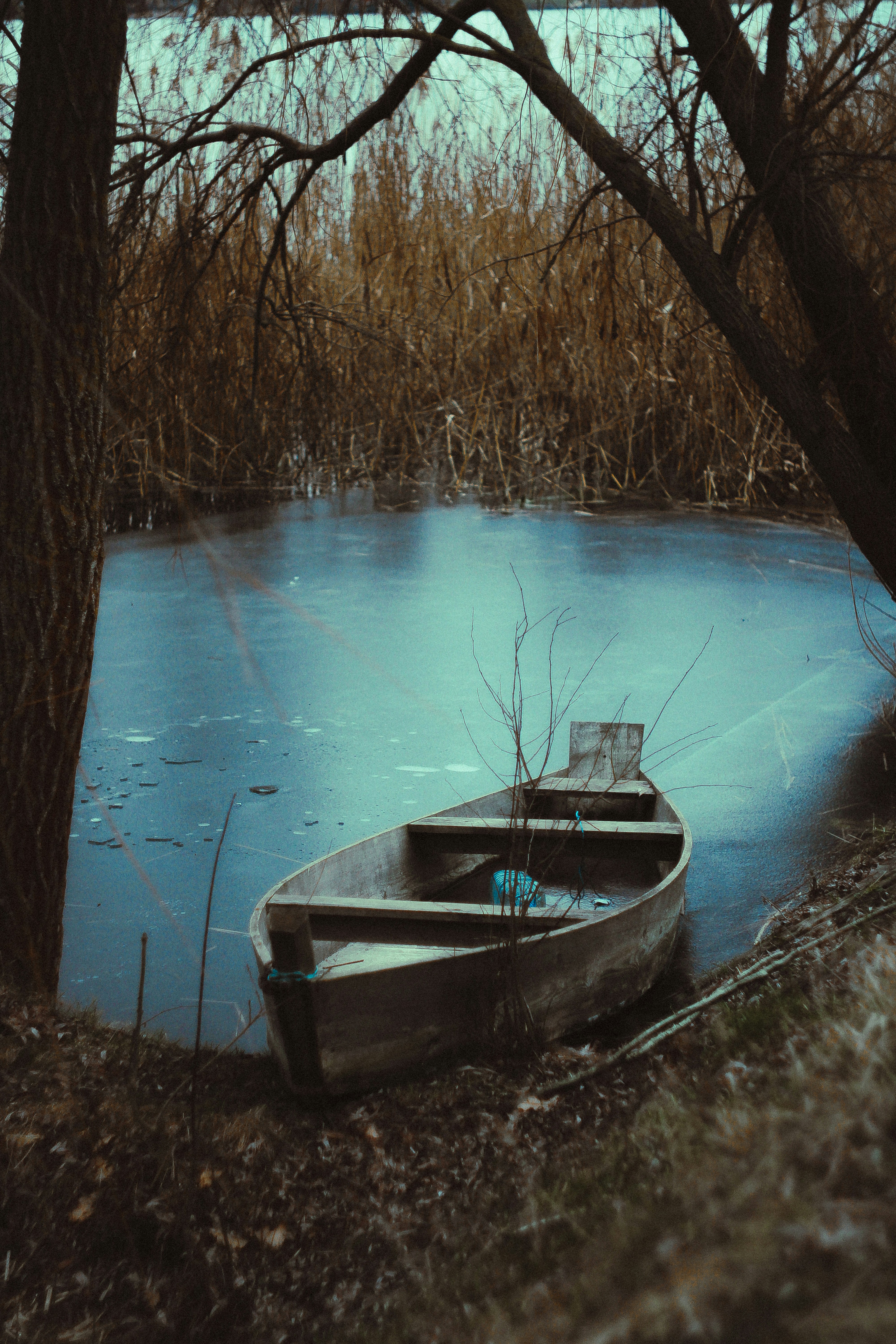 Photo by mineral_of_demon