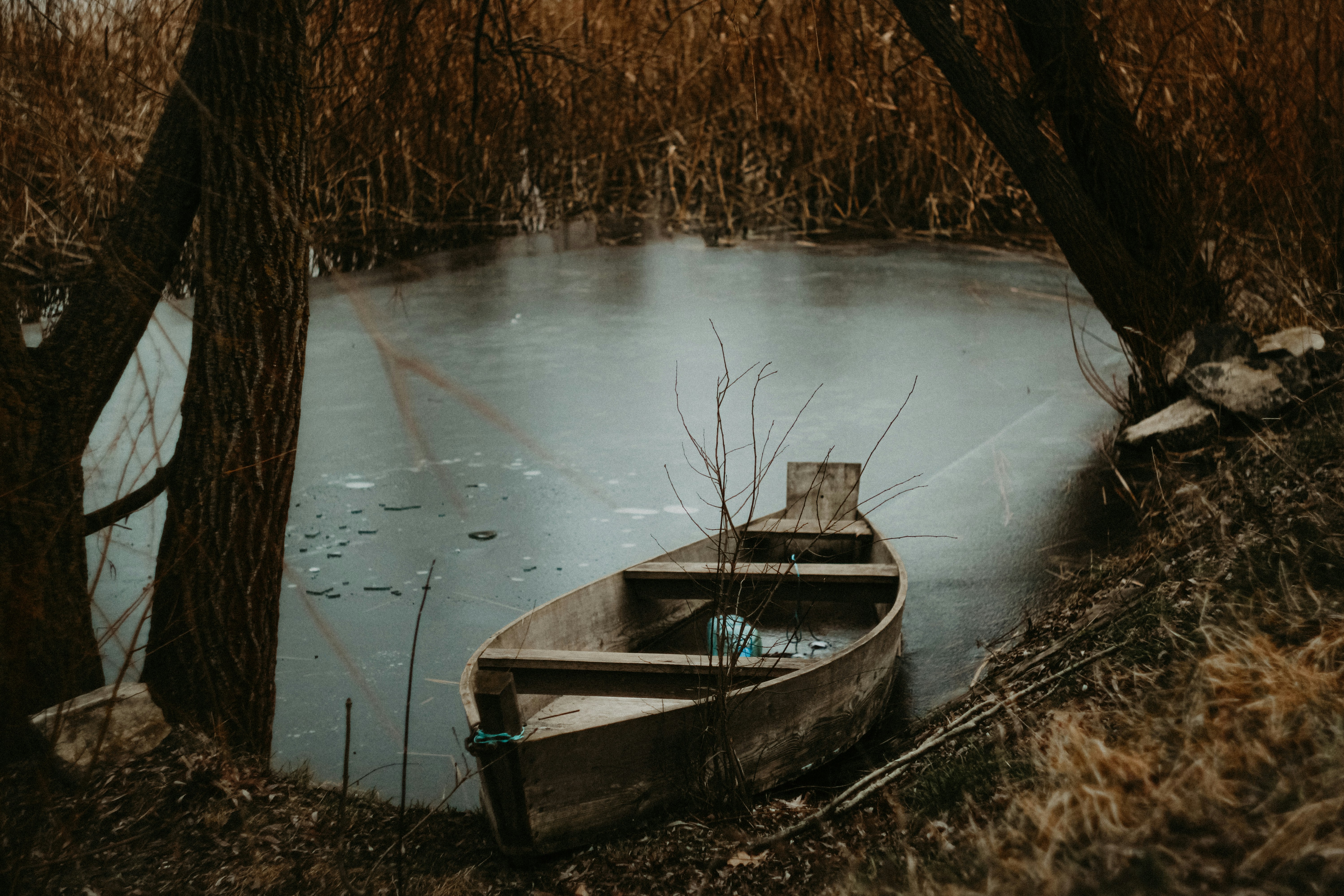 Photo by mineral_of_demon