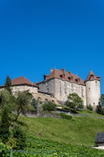 A castle on top of a hill surrounded by trees