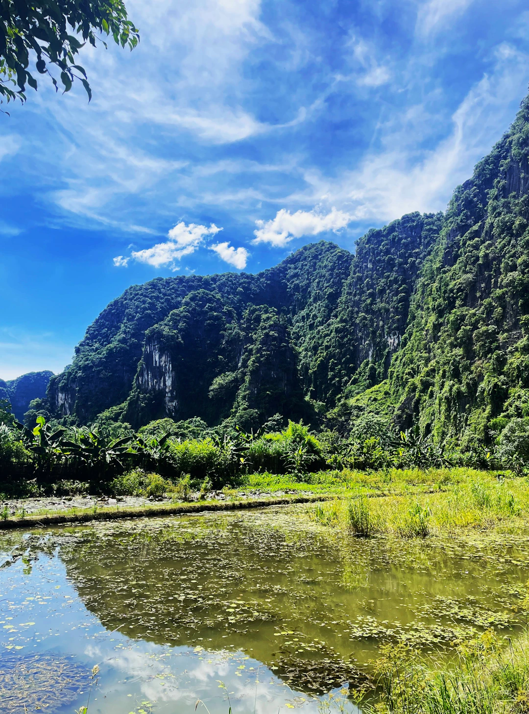 Quảng Trị