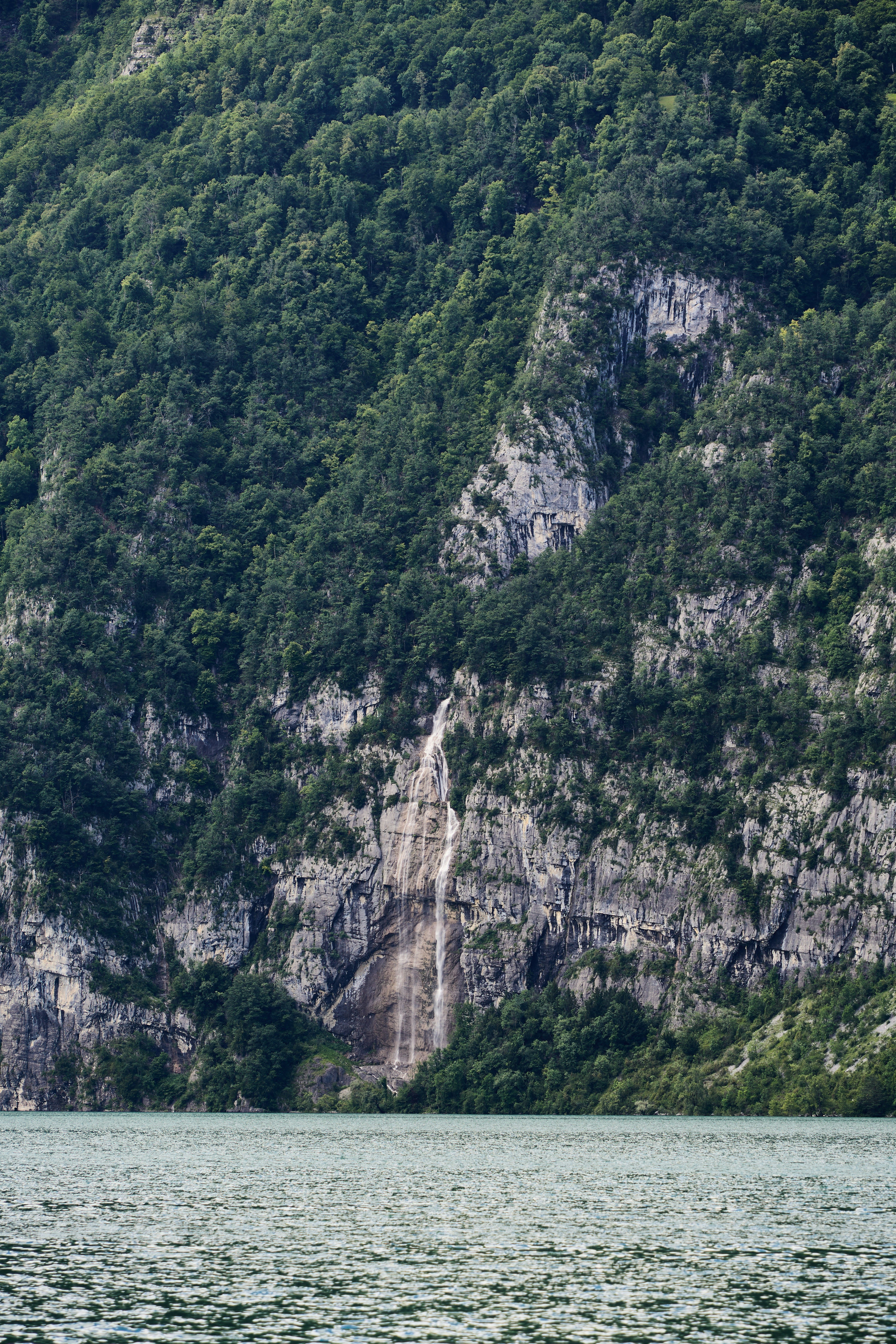 Photo by wolfgang_hasselmann