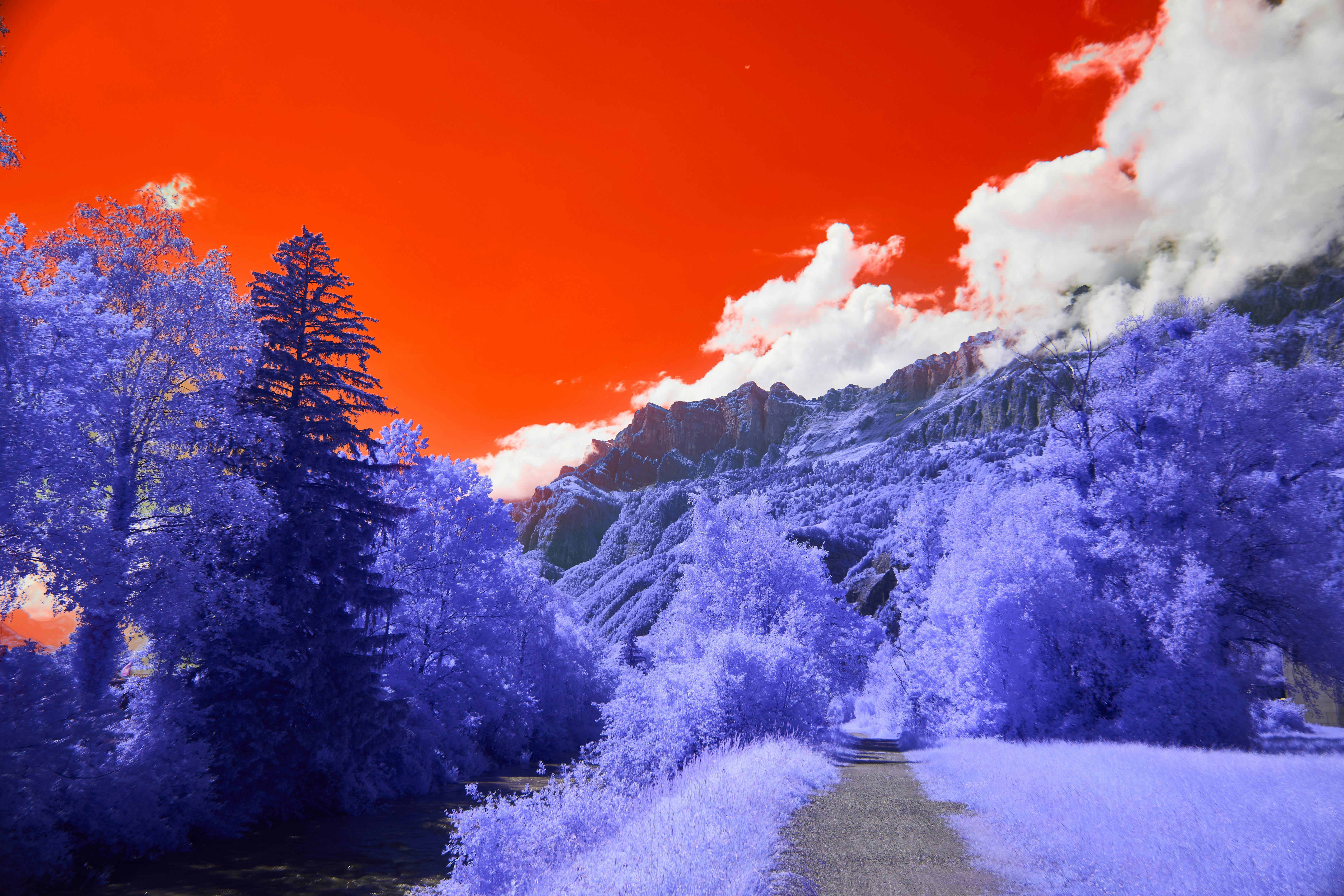 Photo by wolfgang_hasselmann