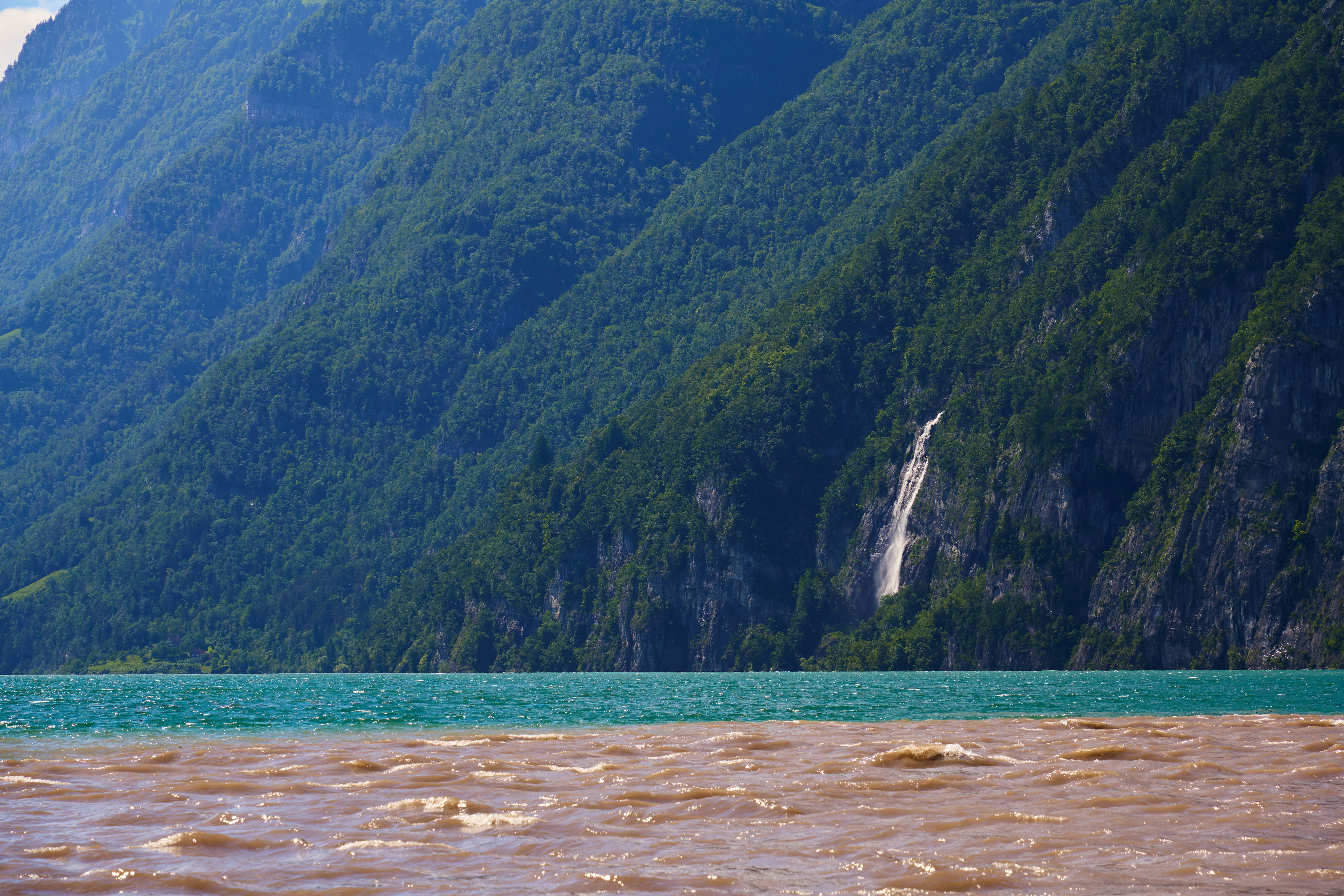 Photo by wolfgang_hasselmann