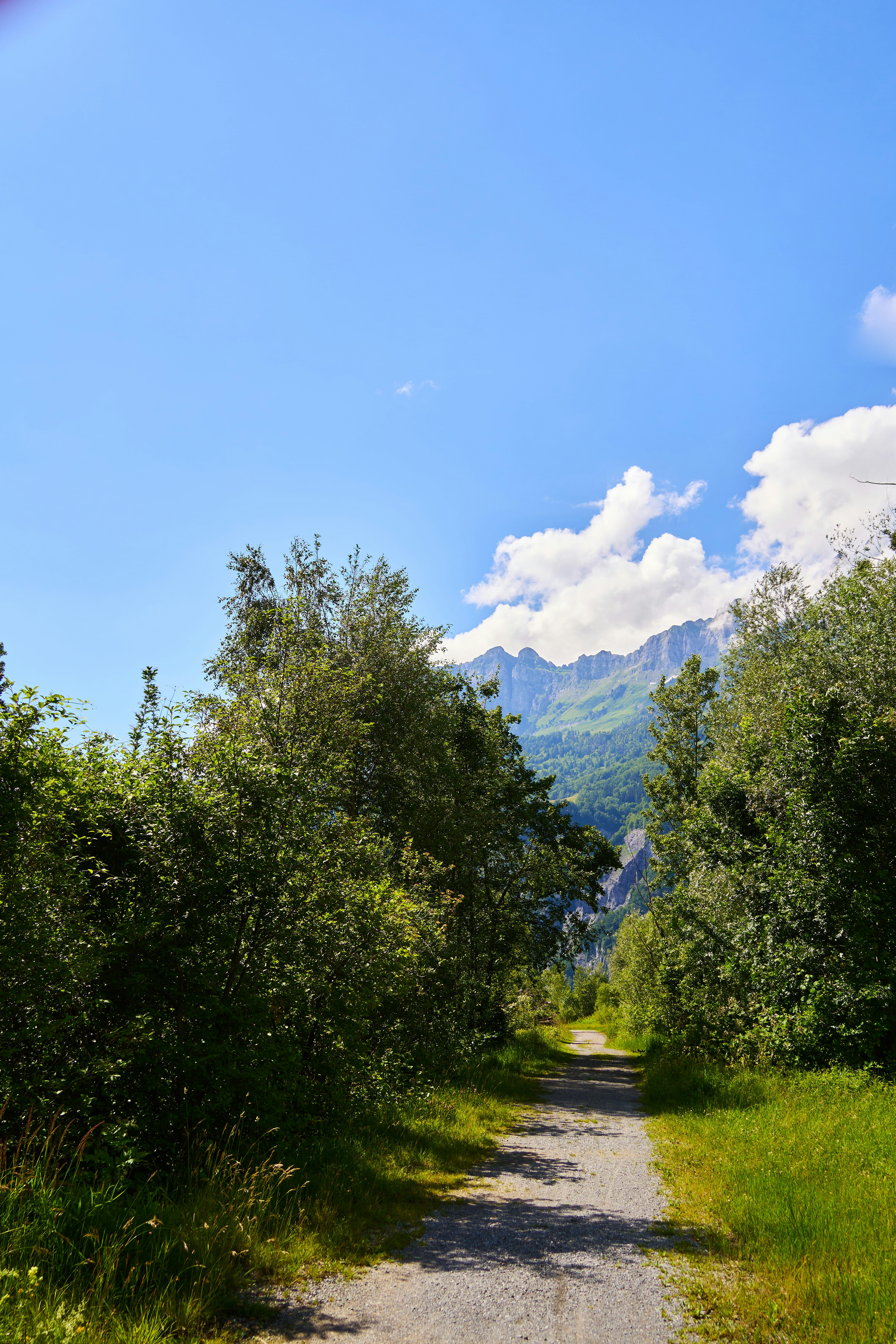 Photo by wolfgang_hasselmann