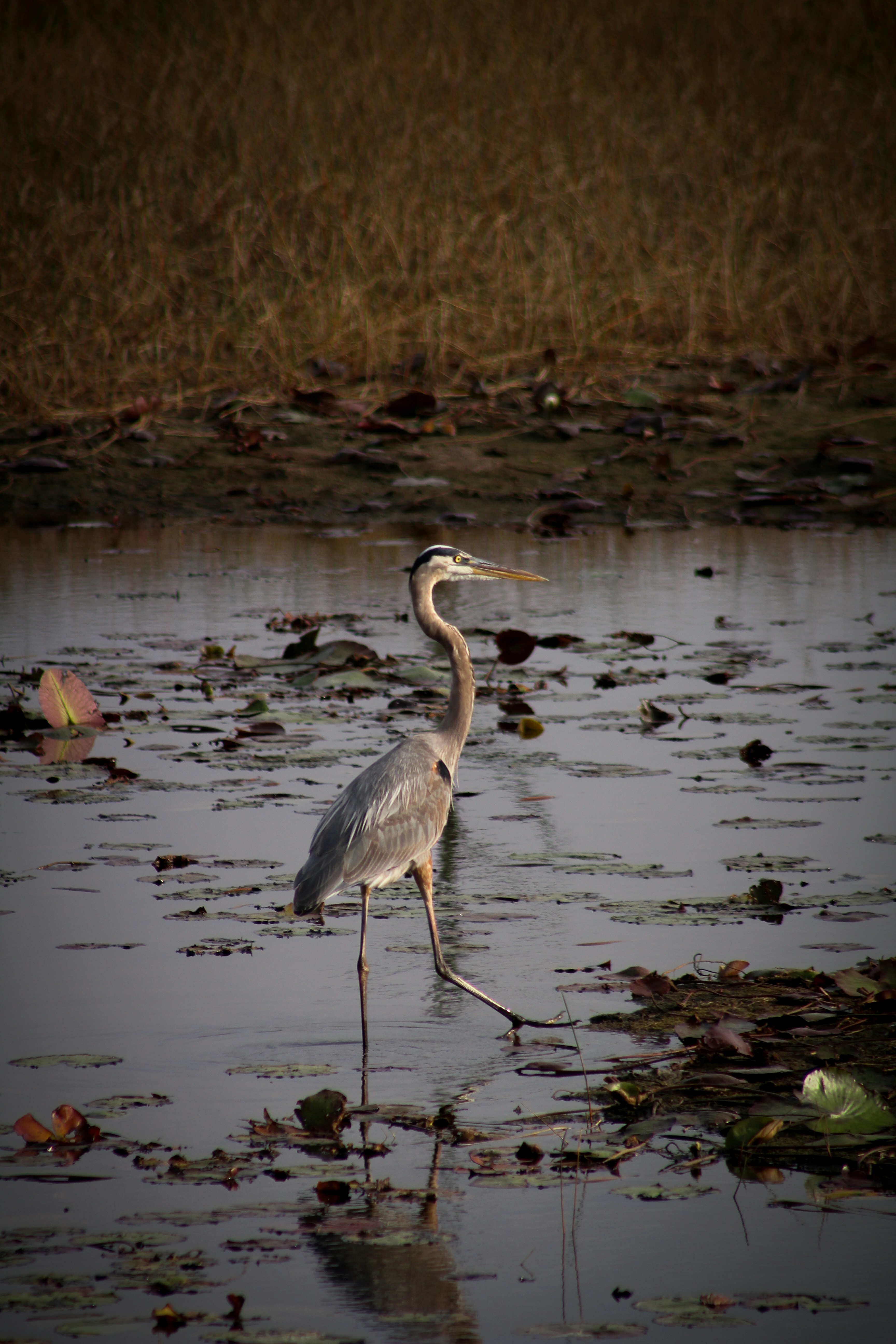 Photo by charlysey278