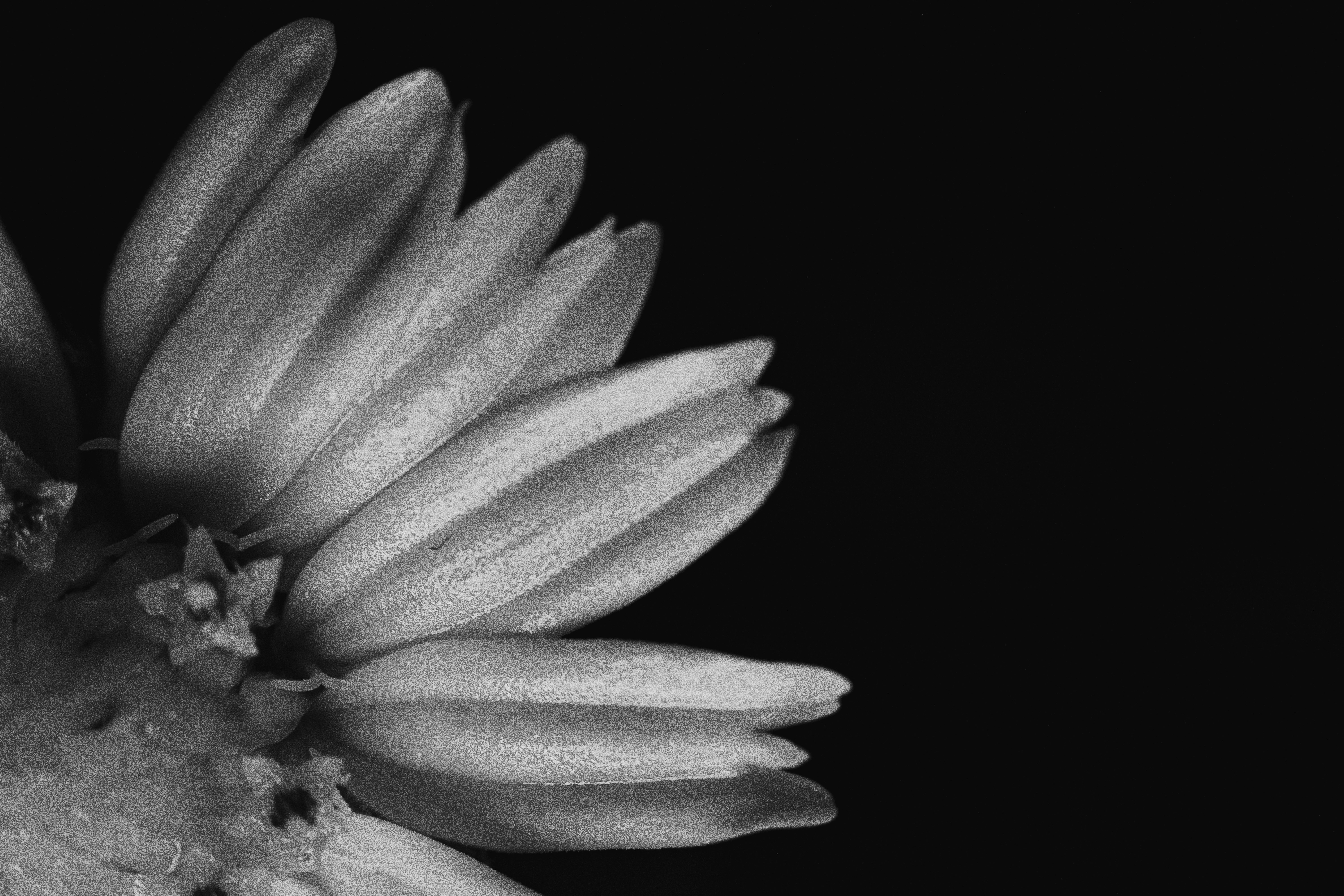 Photo by harshit_suryawanshi