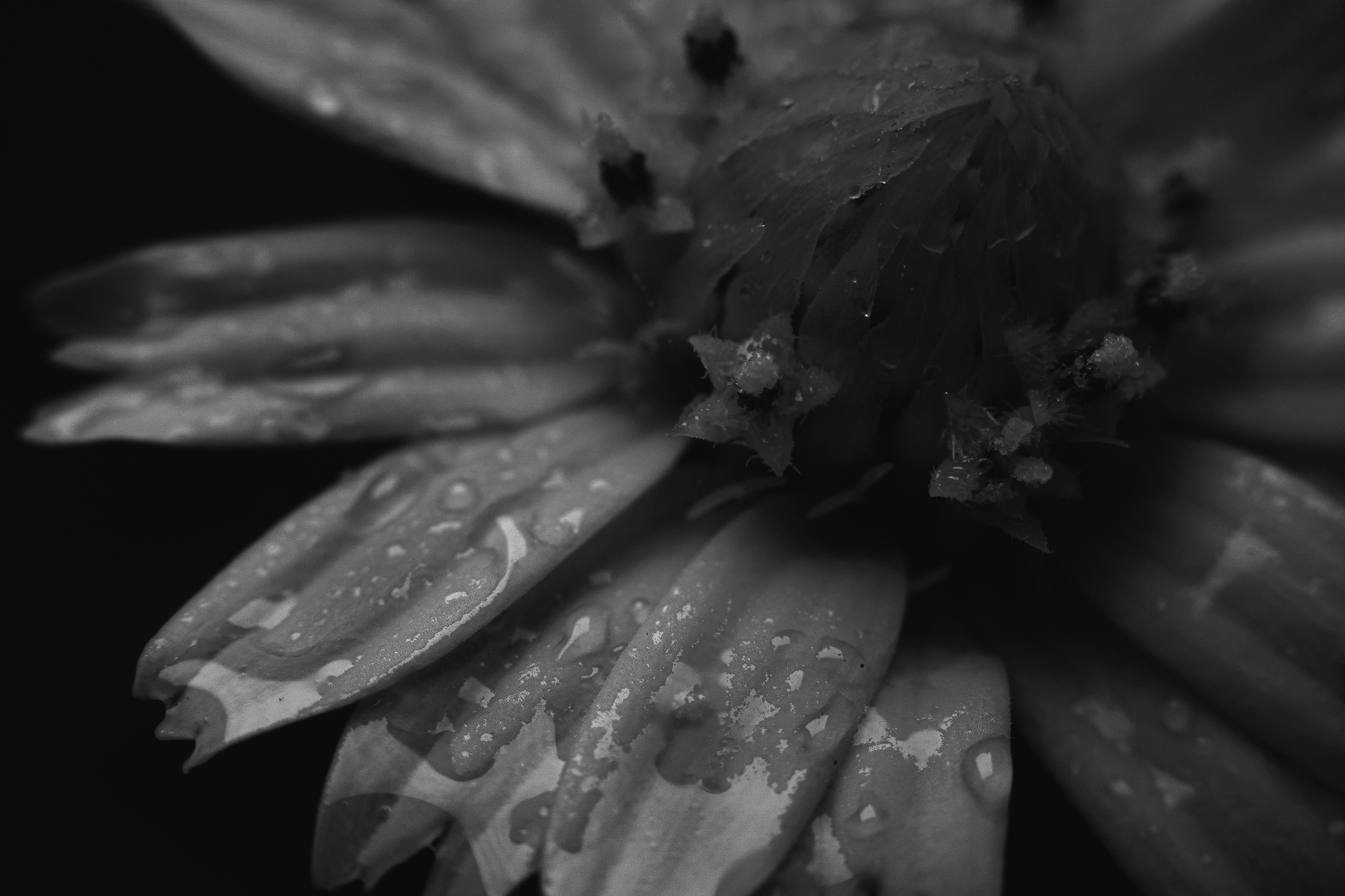 Photo by harshit_suryawanshi