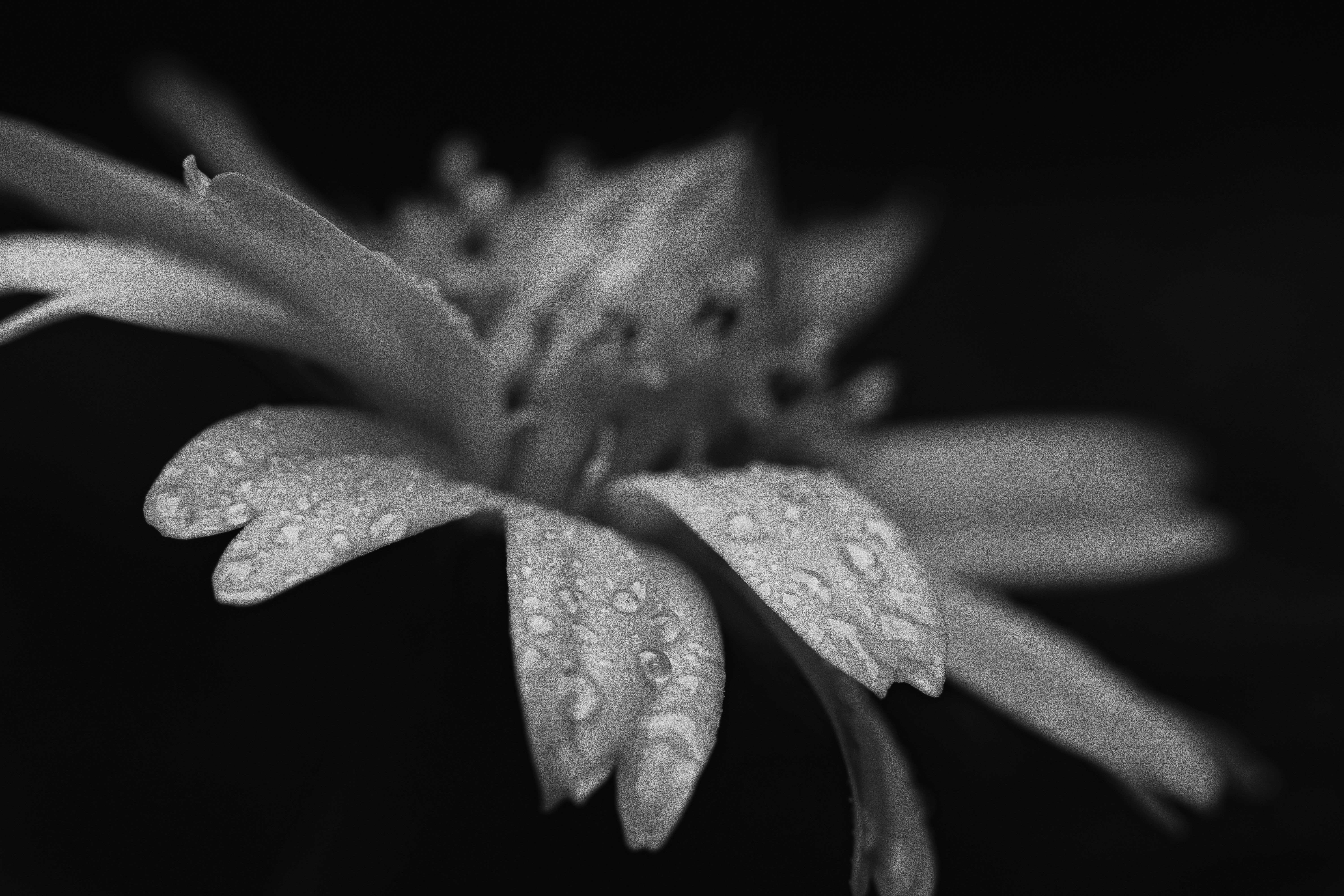 Photo by harshit_suryawanshi