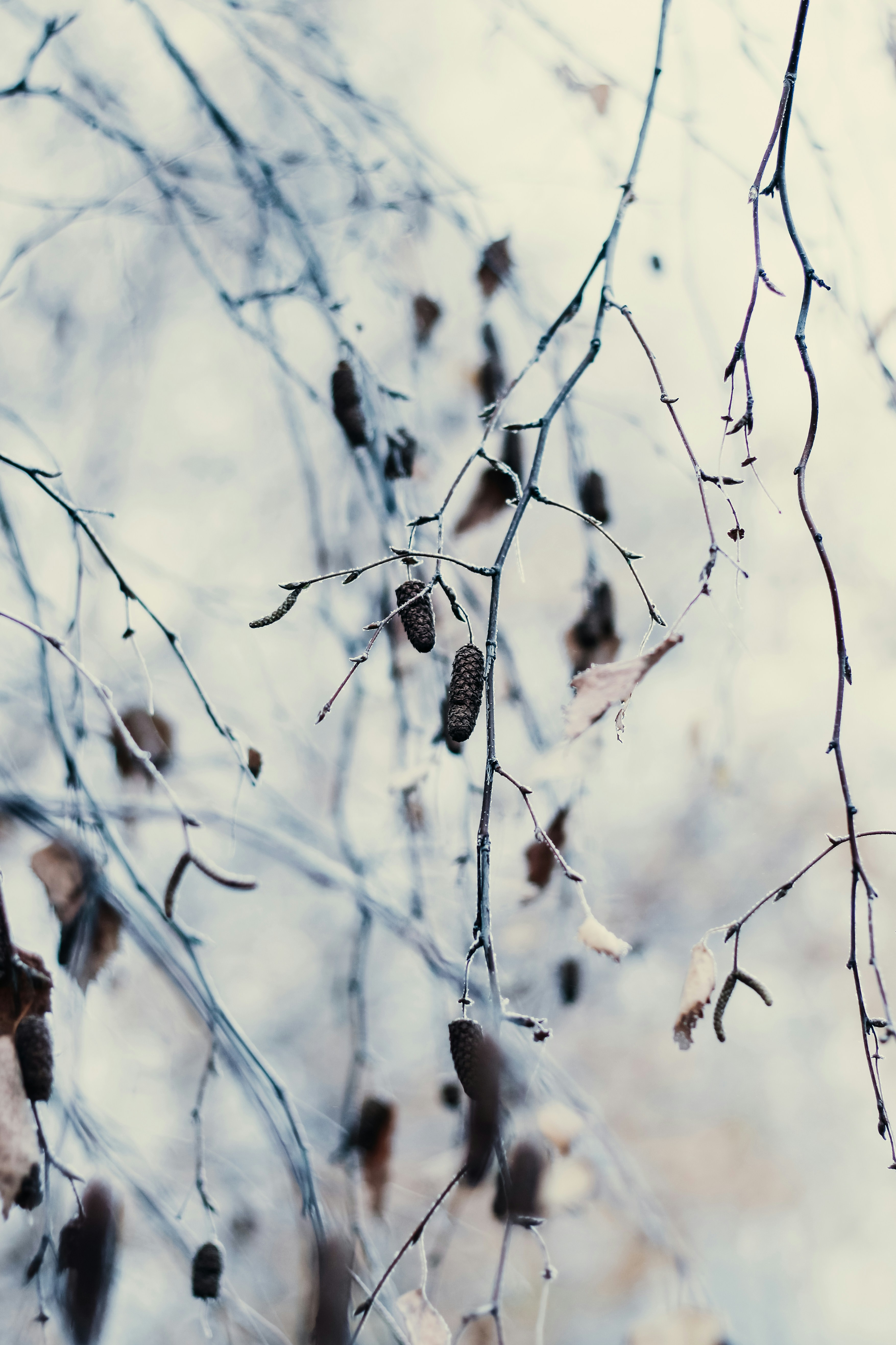 Photo by mineral_of_demon