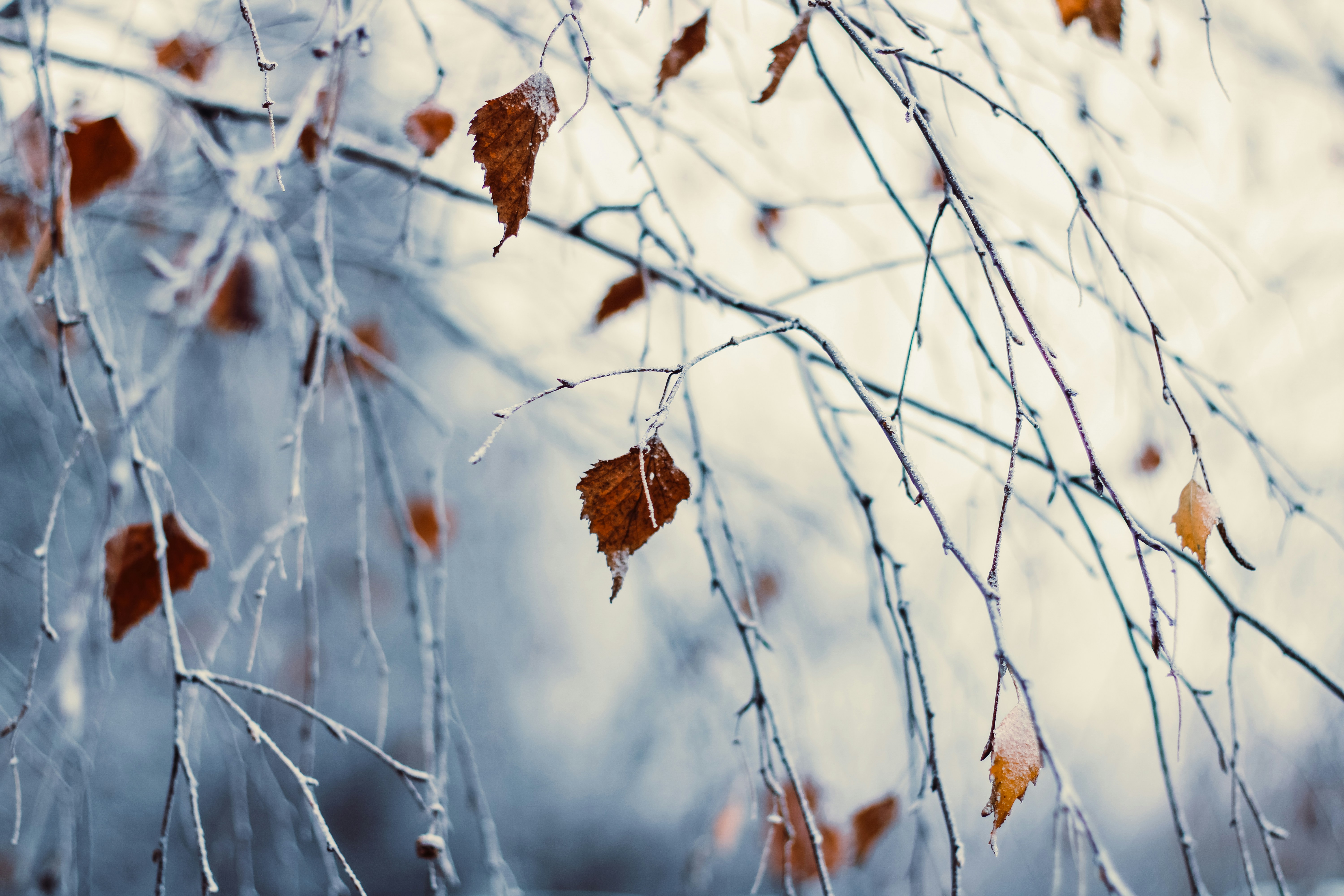 Seasonal changes affecting mood