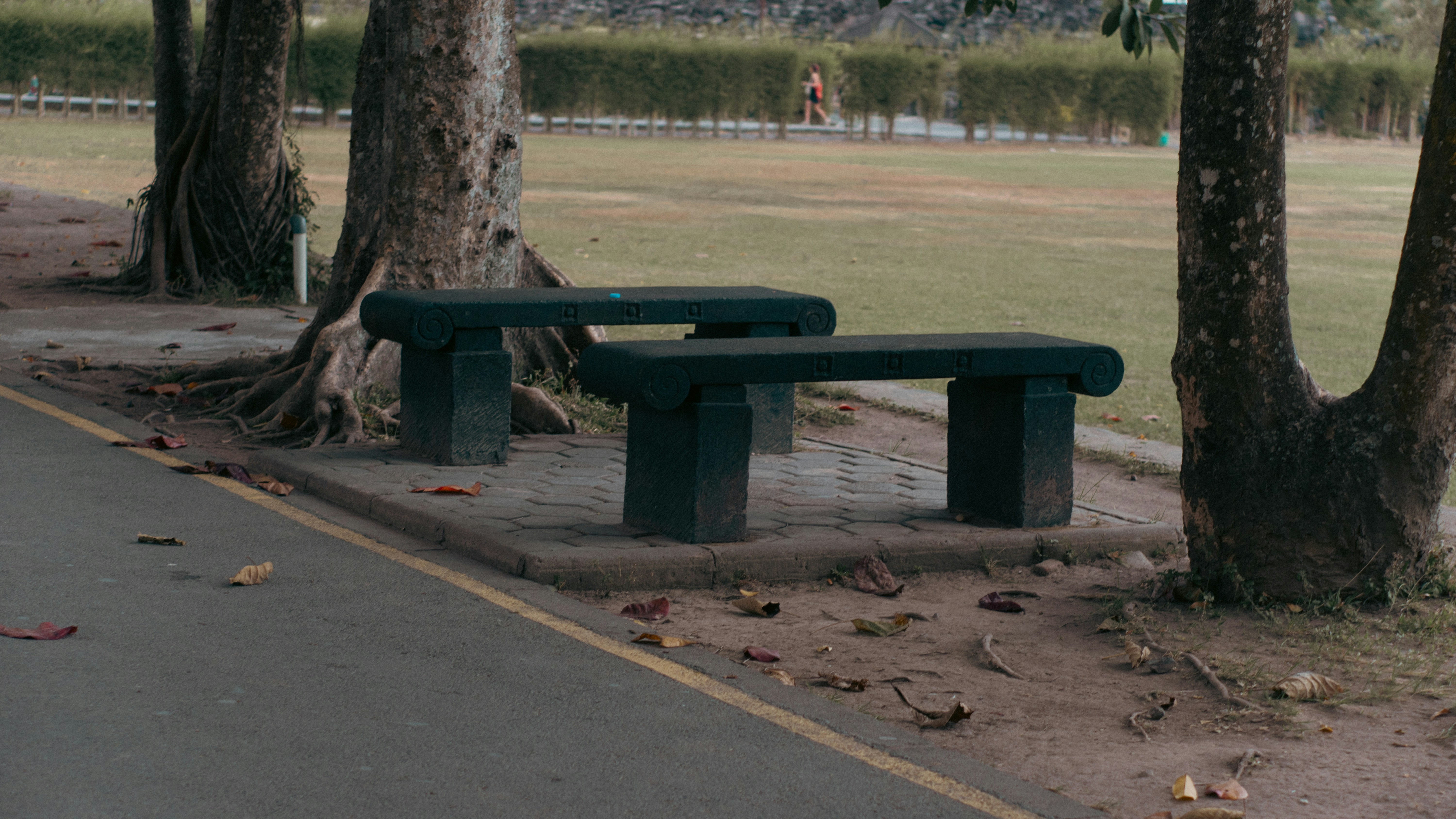 Downing Park
