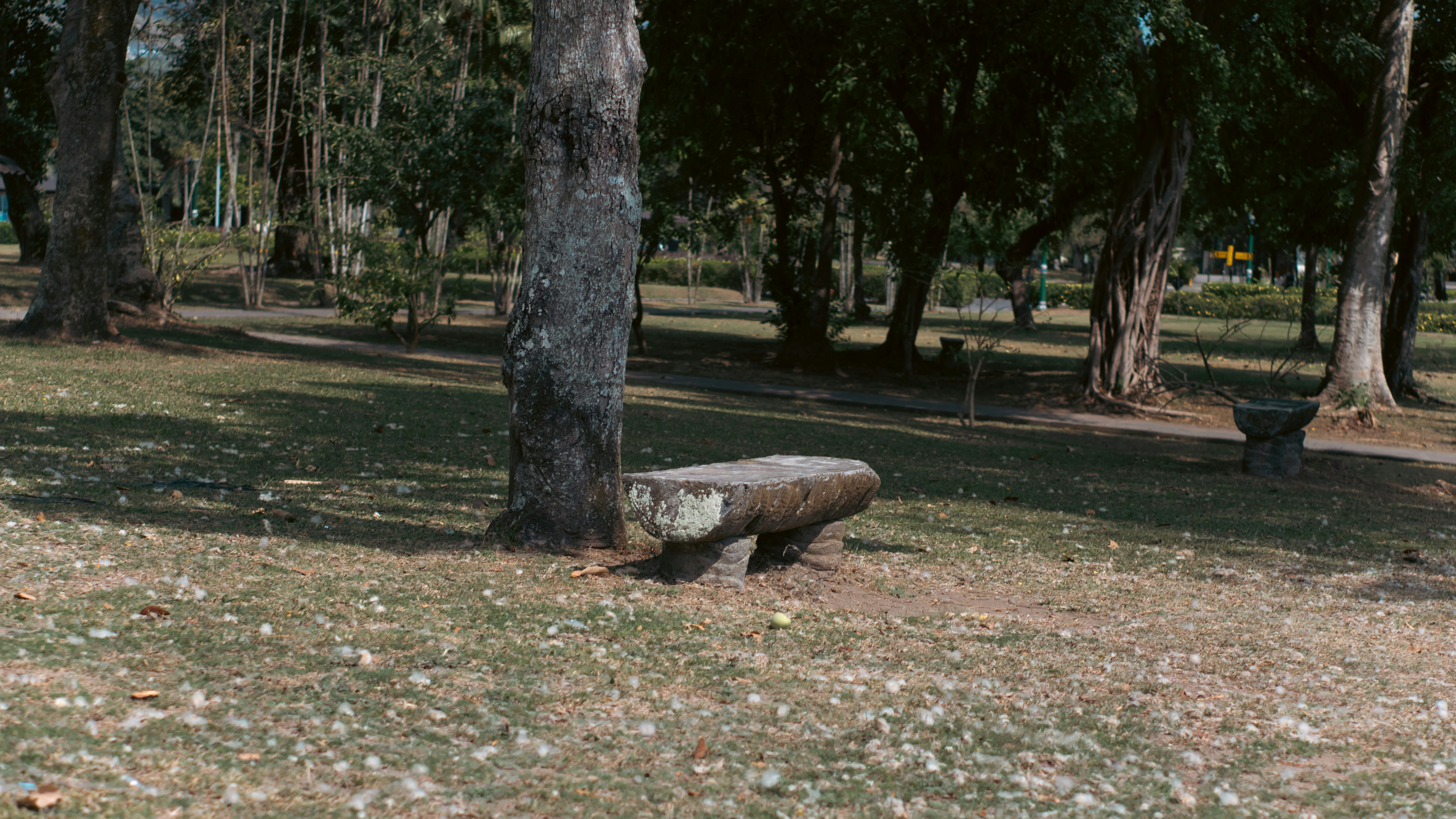 A wooden bench sitting in the middle of a park