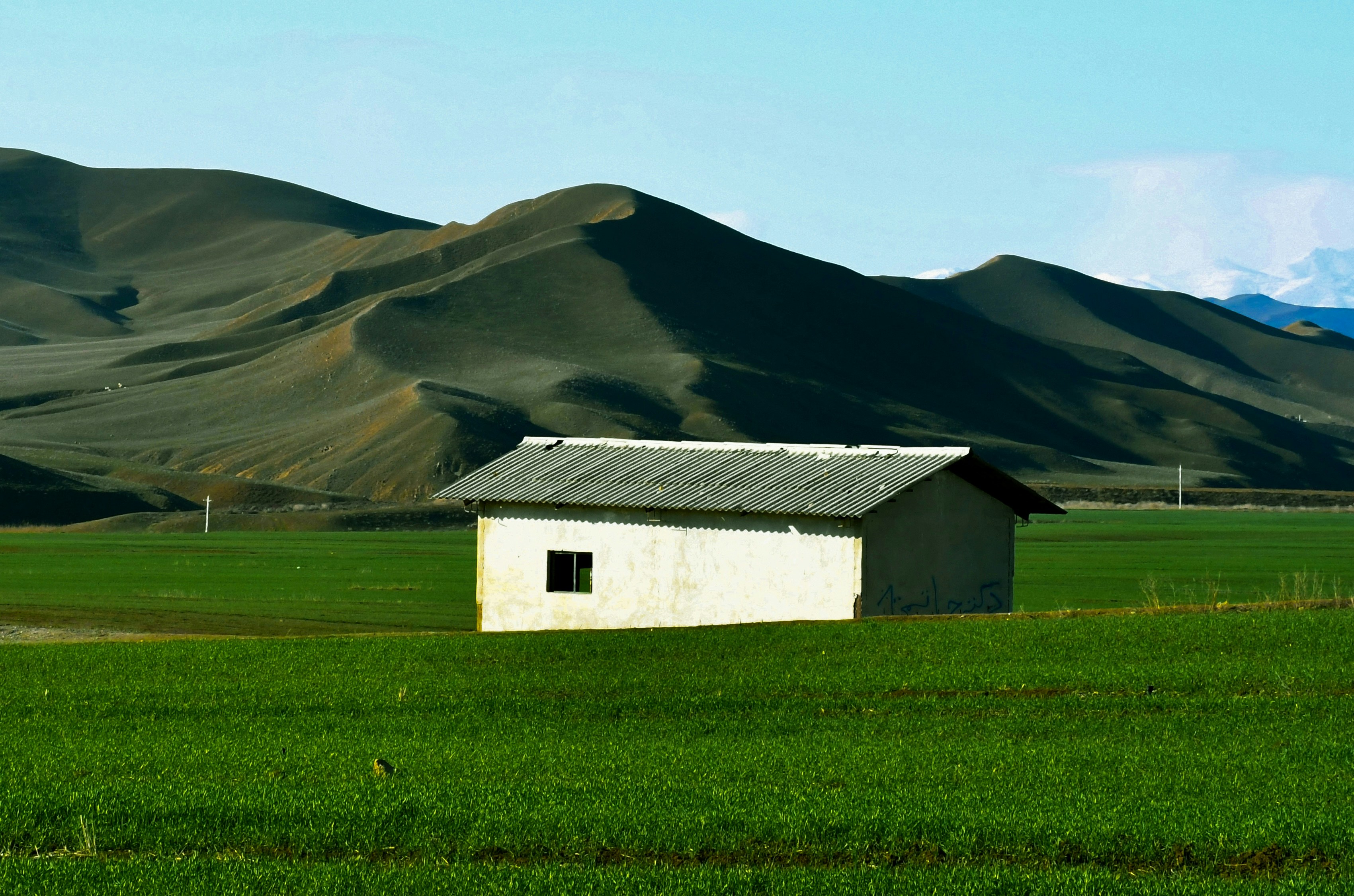 A small house in a field with mountains in the background
