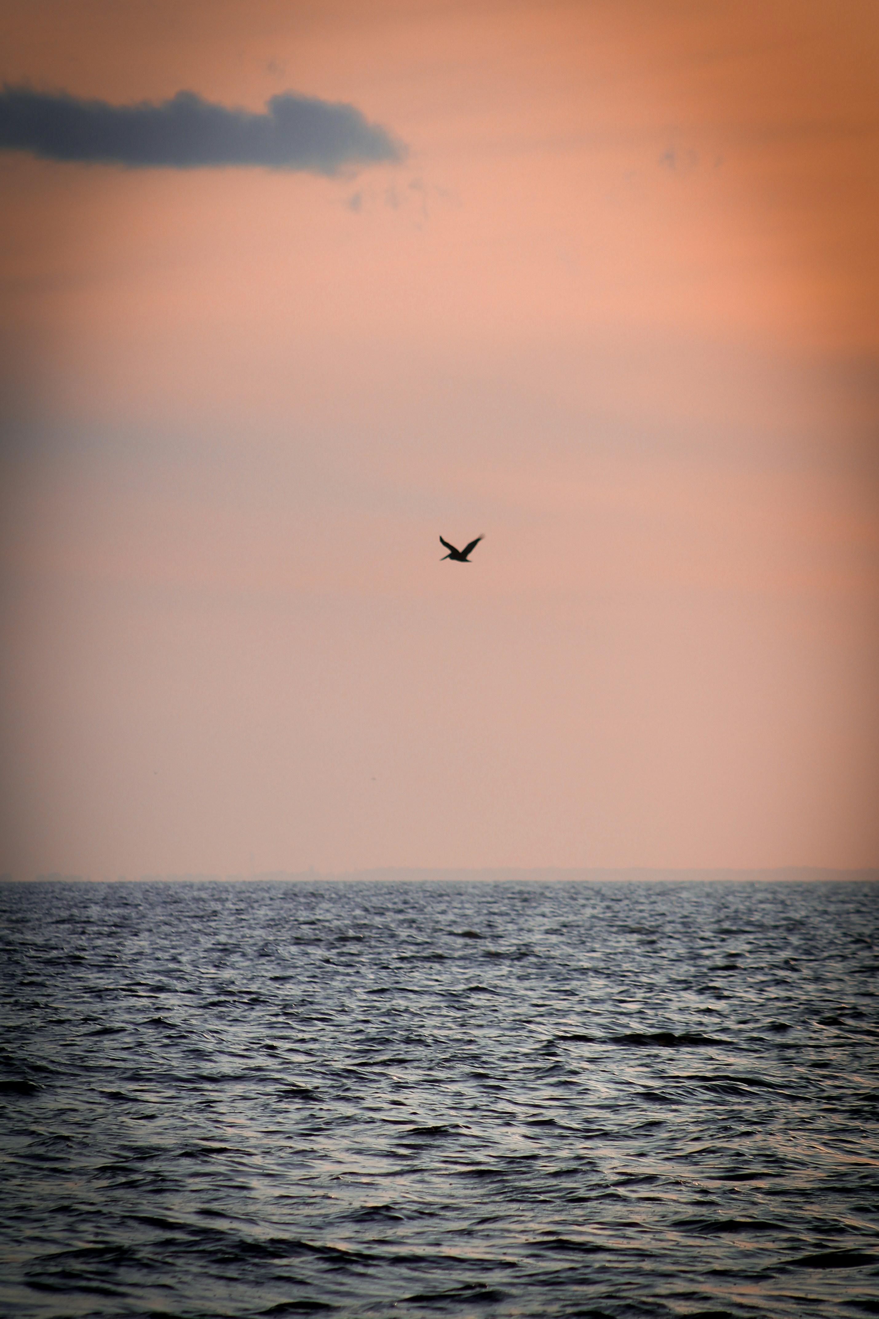 Photo by charlysey278