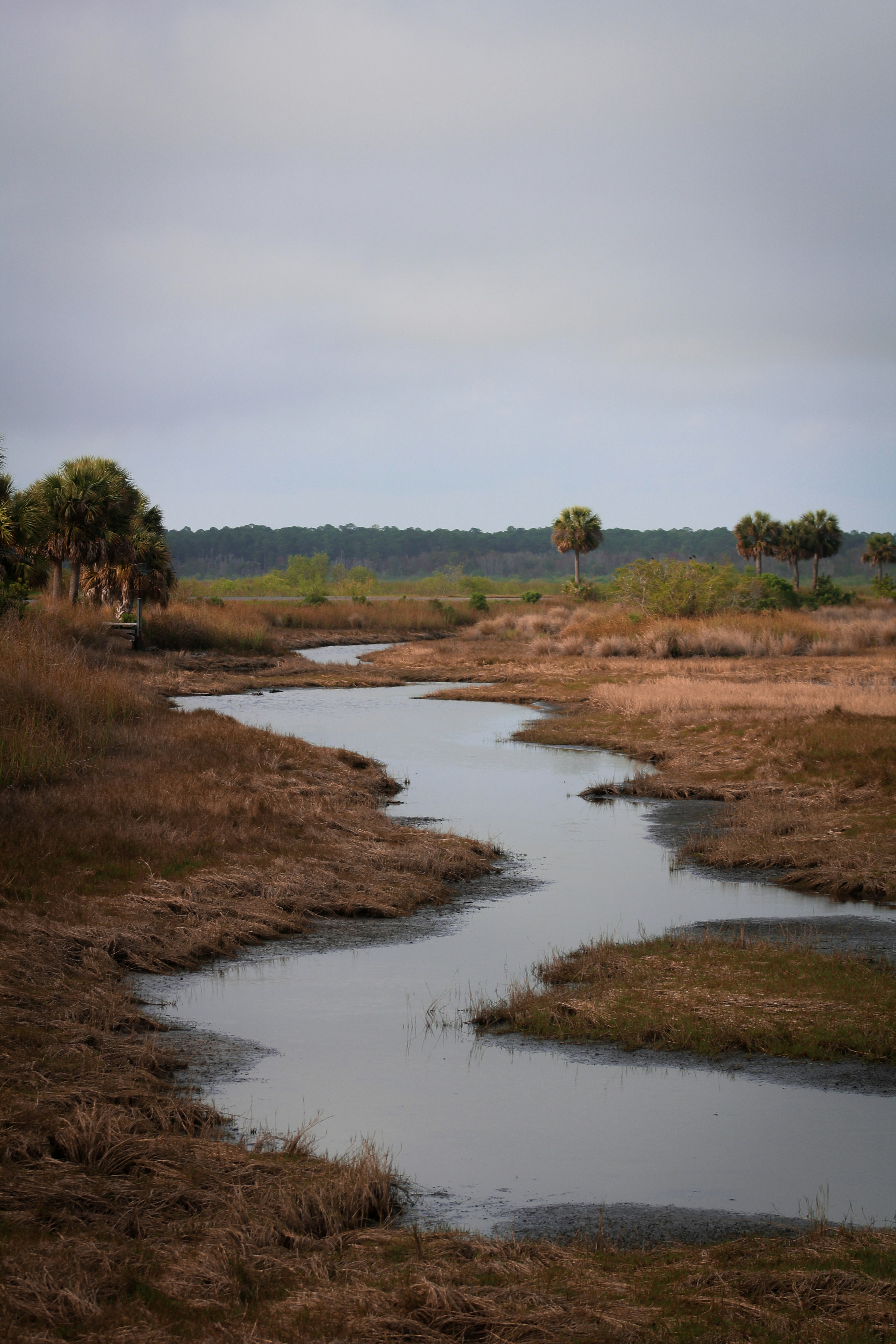 Photo by charlysey278