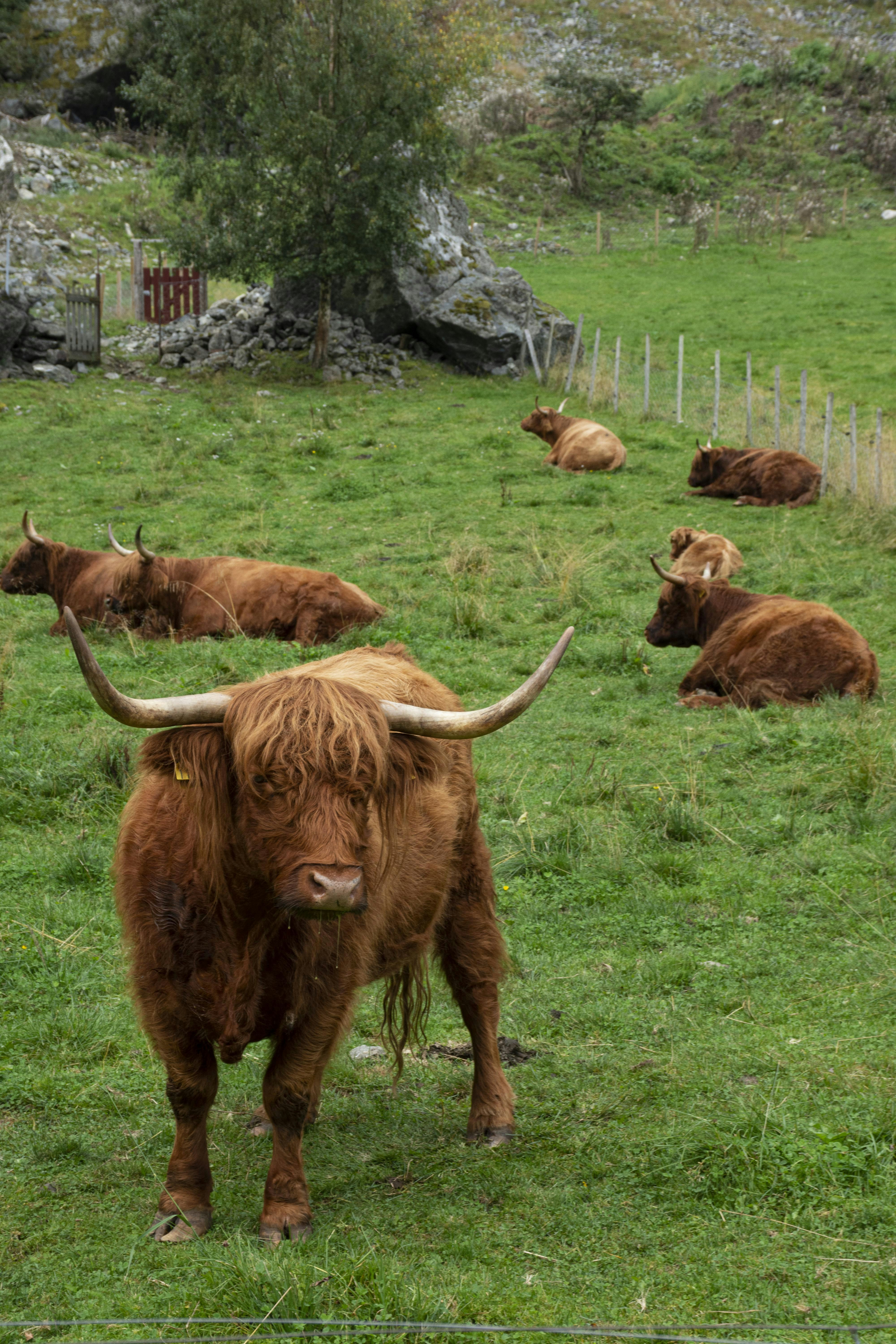 Photo by halfveronica