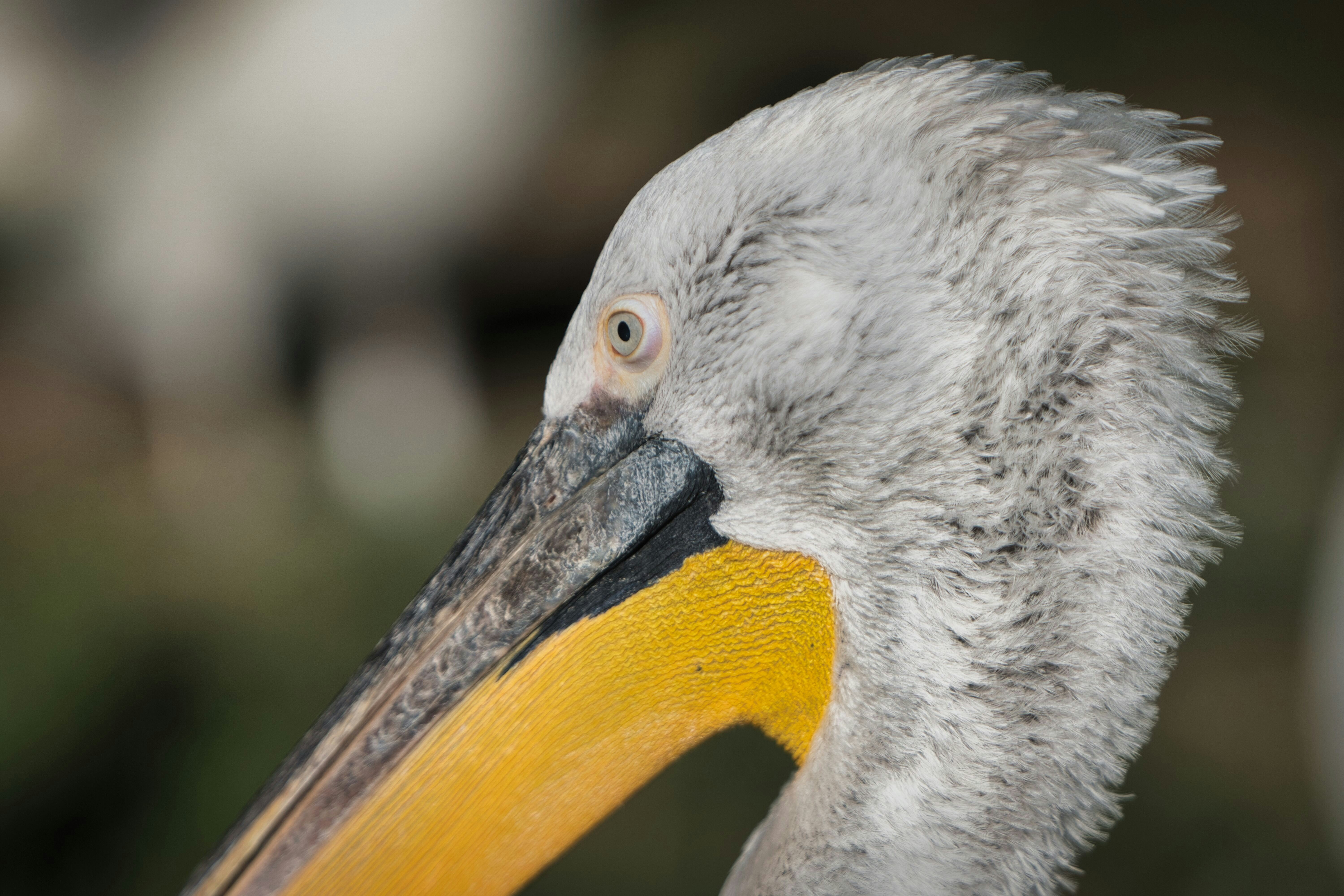 Photo by opernfan17x