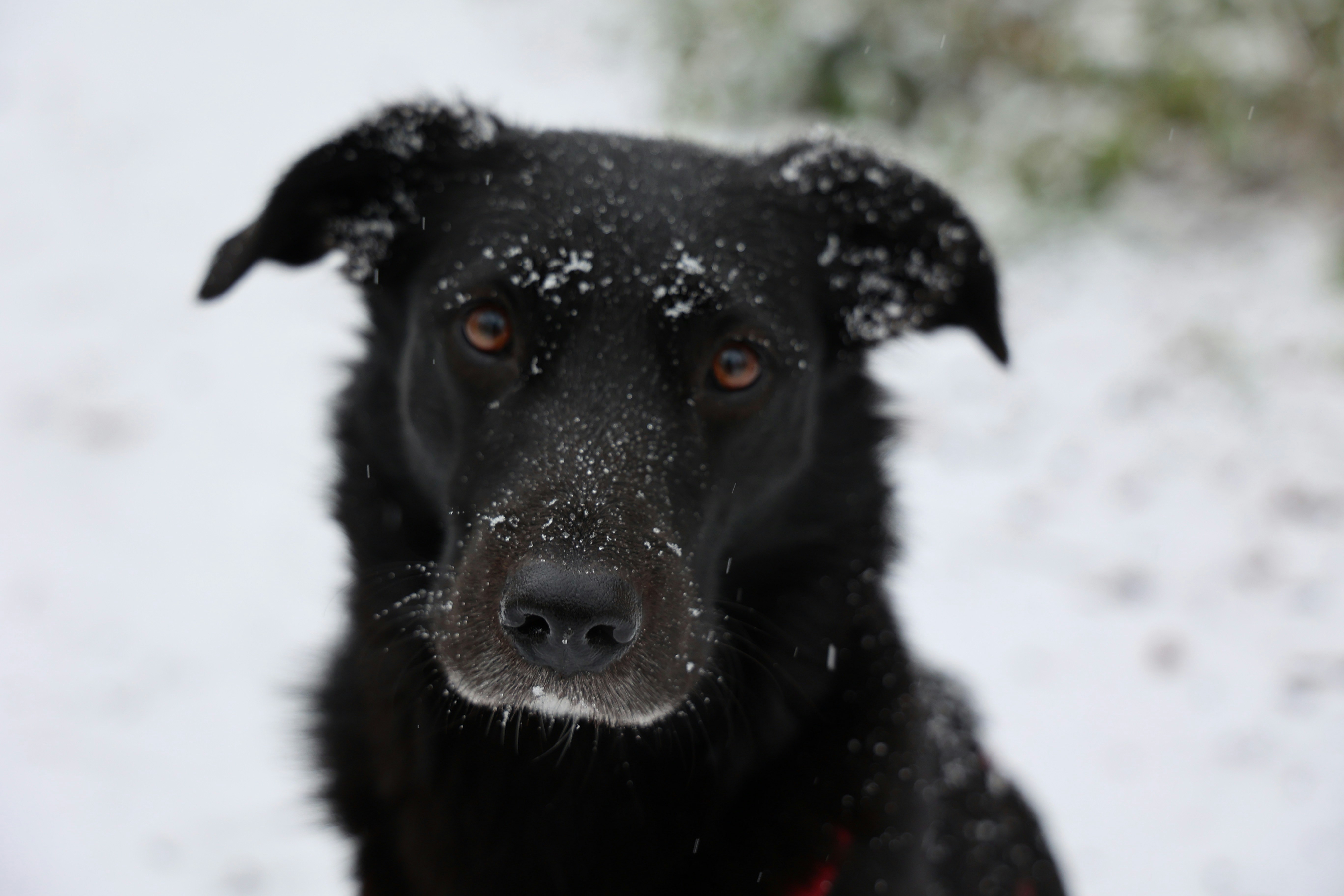 Photo by fliesentischfotograf