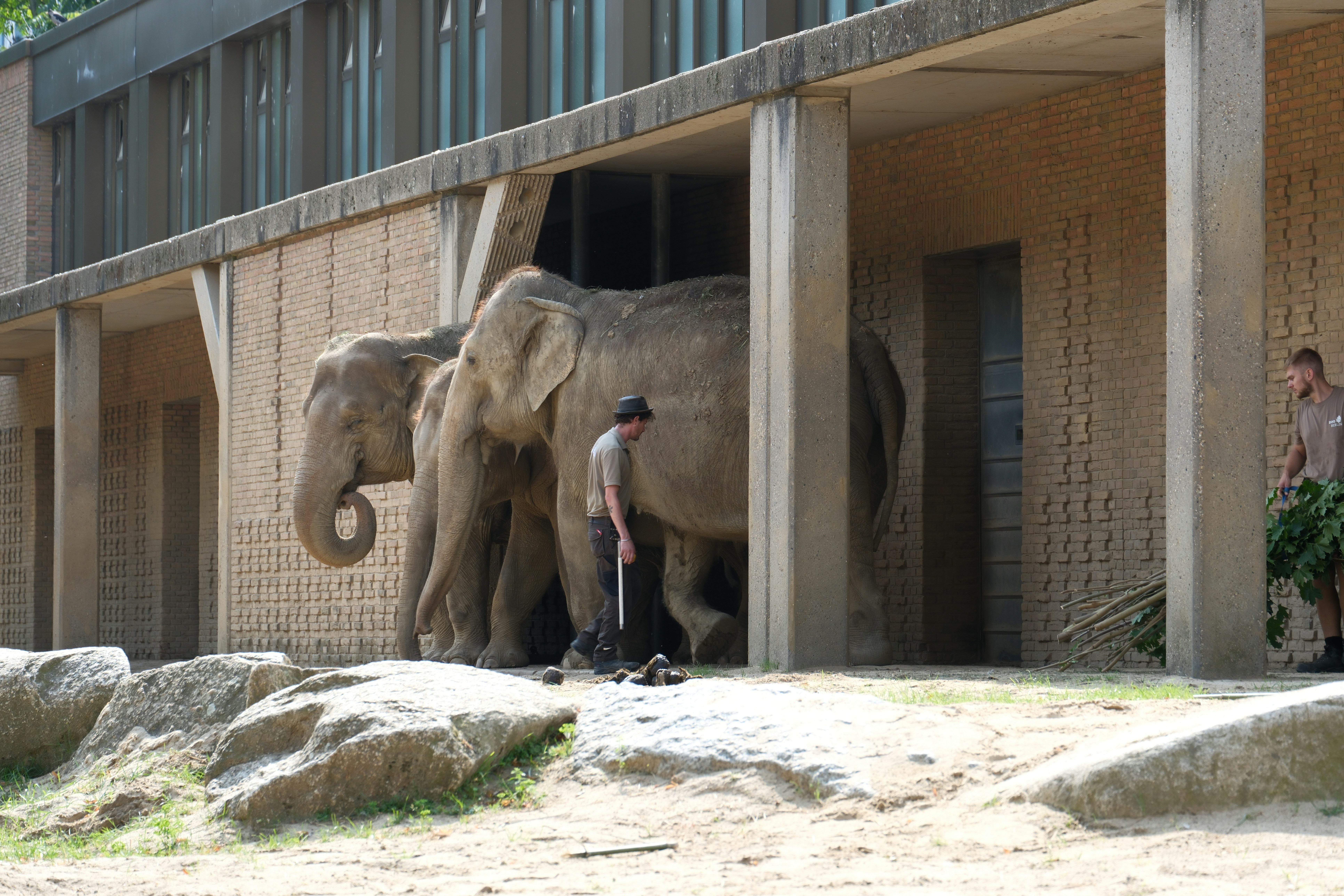 A man standing next to an elephant in front of a building - a-man-standing-next-to-an-elephant-in-front-of-a-building-EIEtEAidK2o