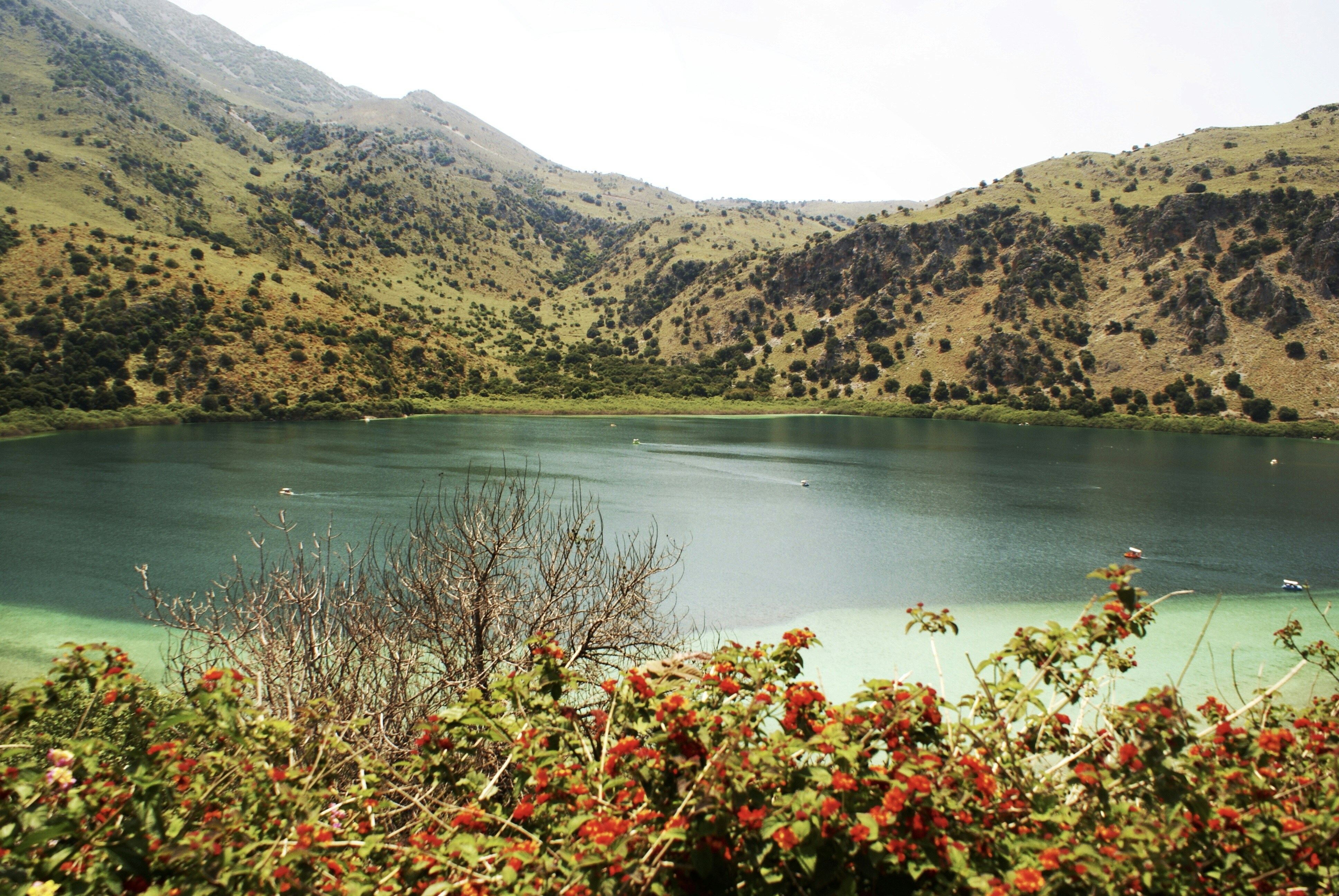 Photo by anamariavisuals