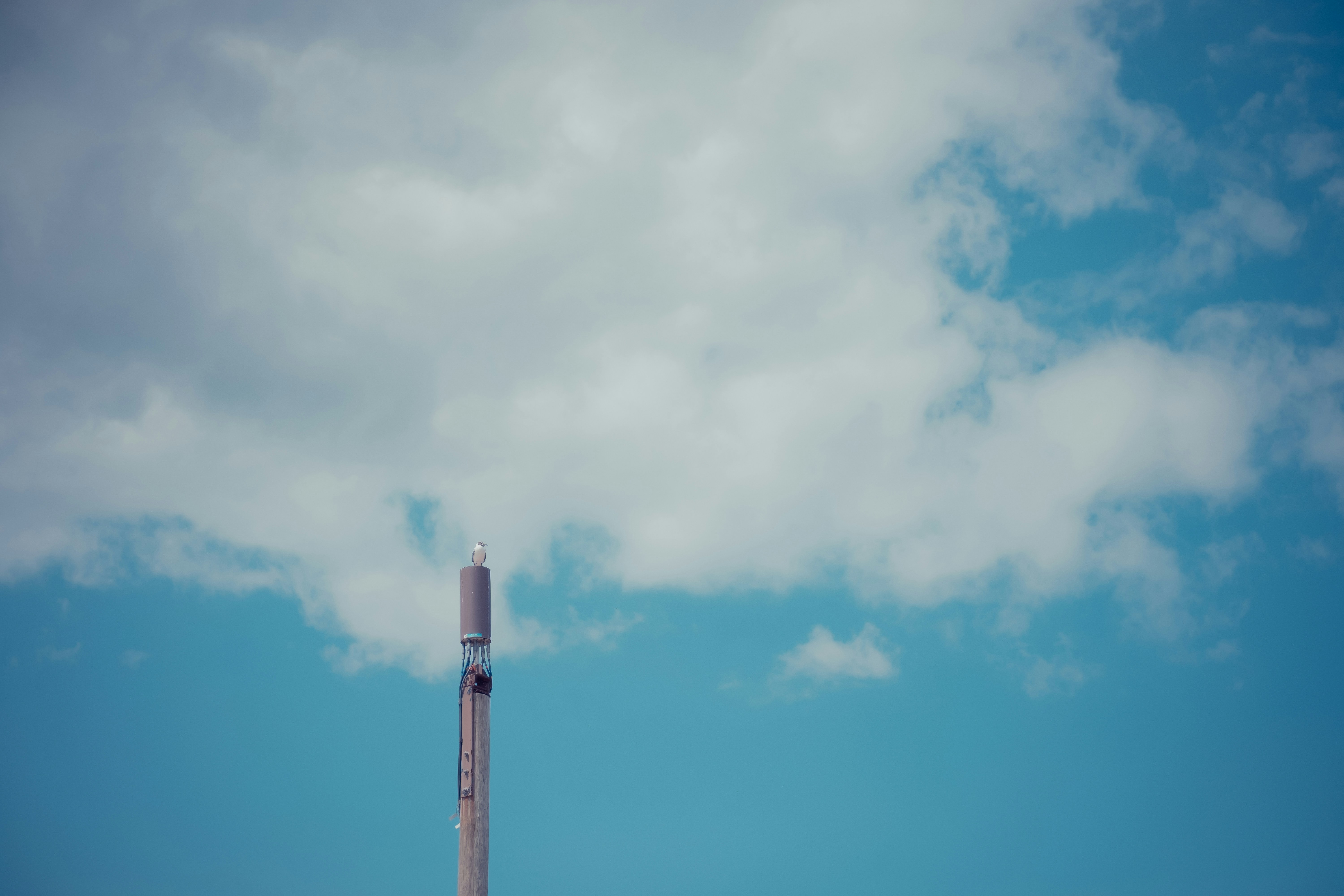 Photo by magicunsplash