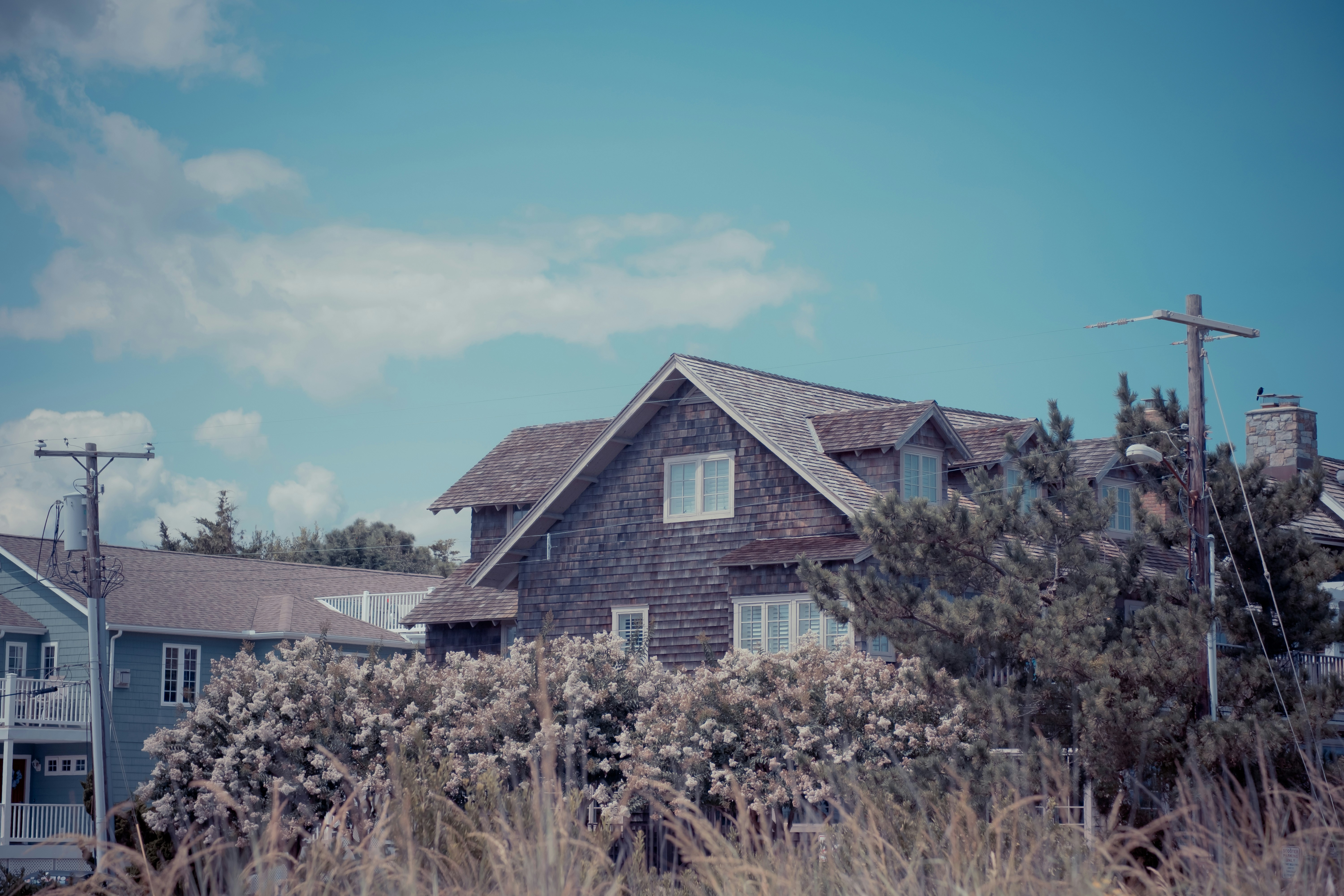 Photo by magicunsplash