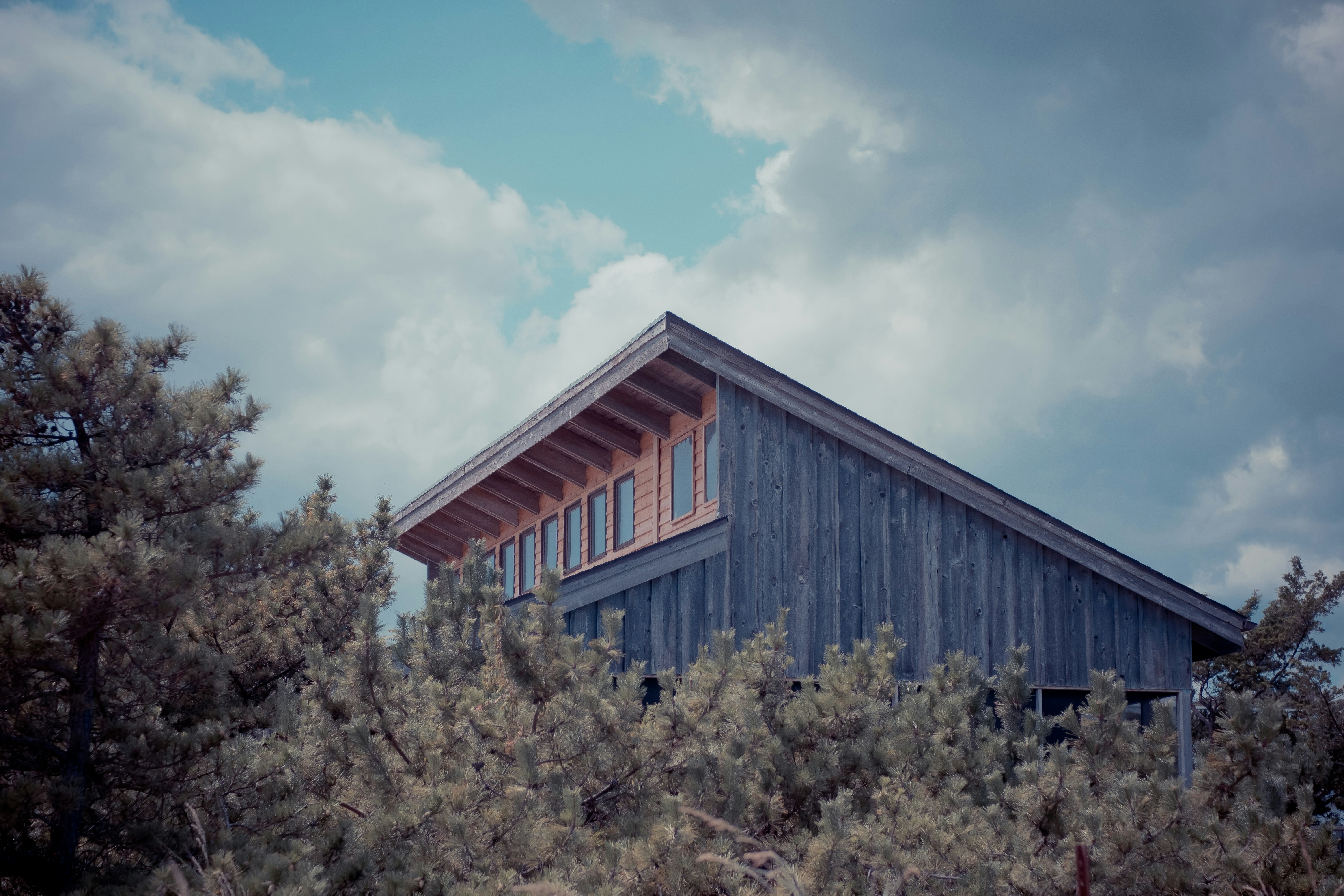 Photo by magicunsplash