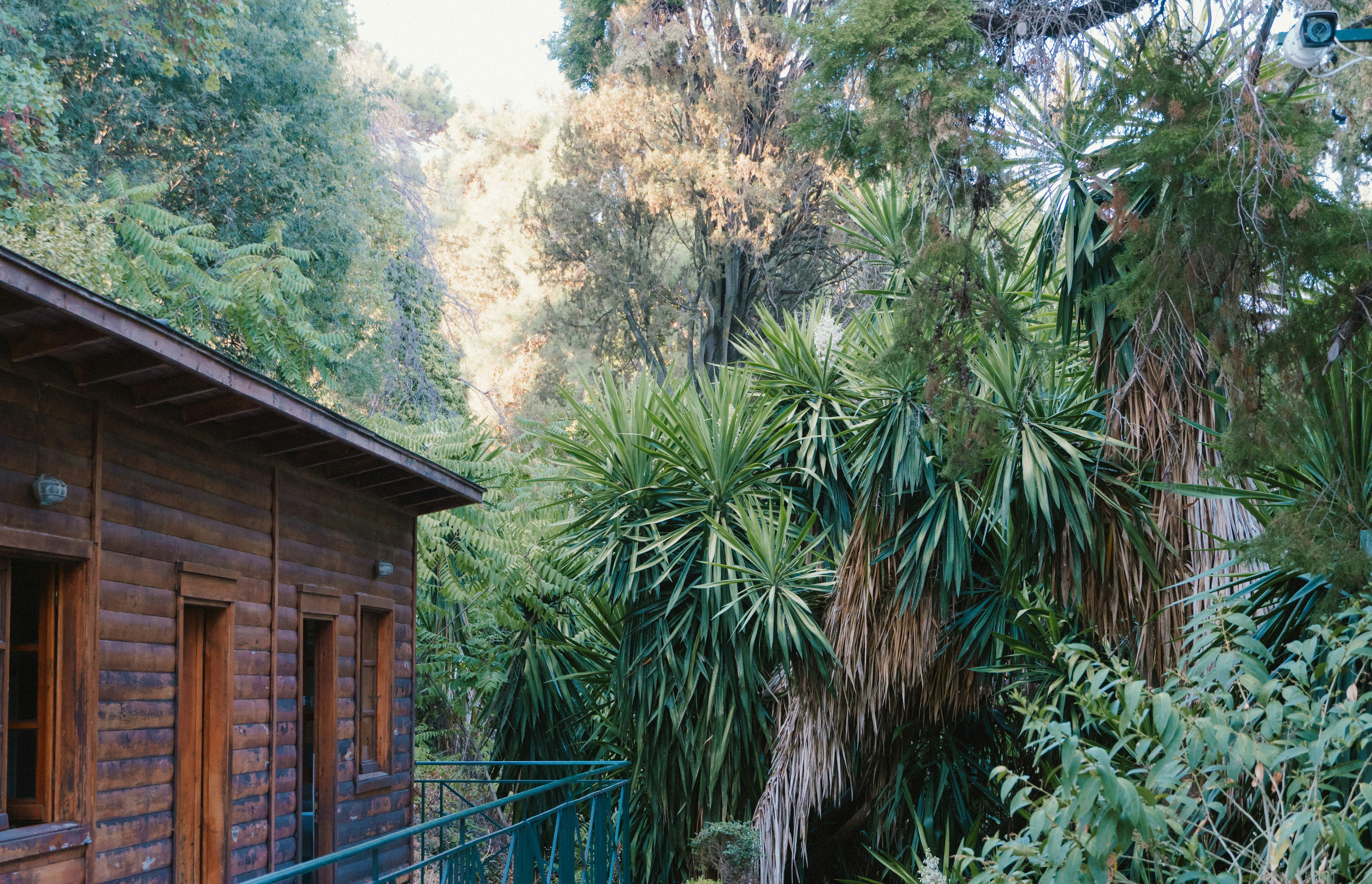 Photo by alexghiurau