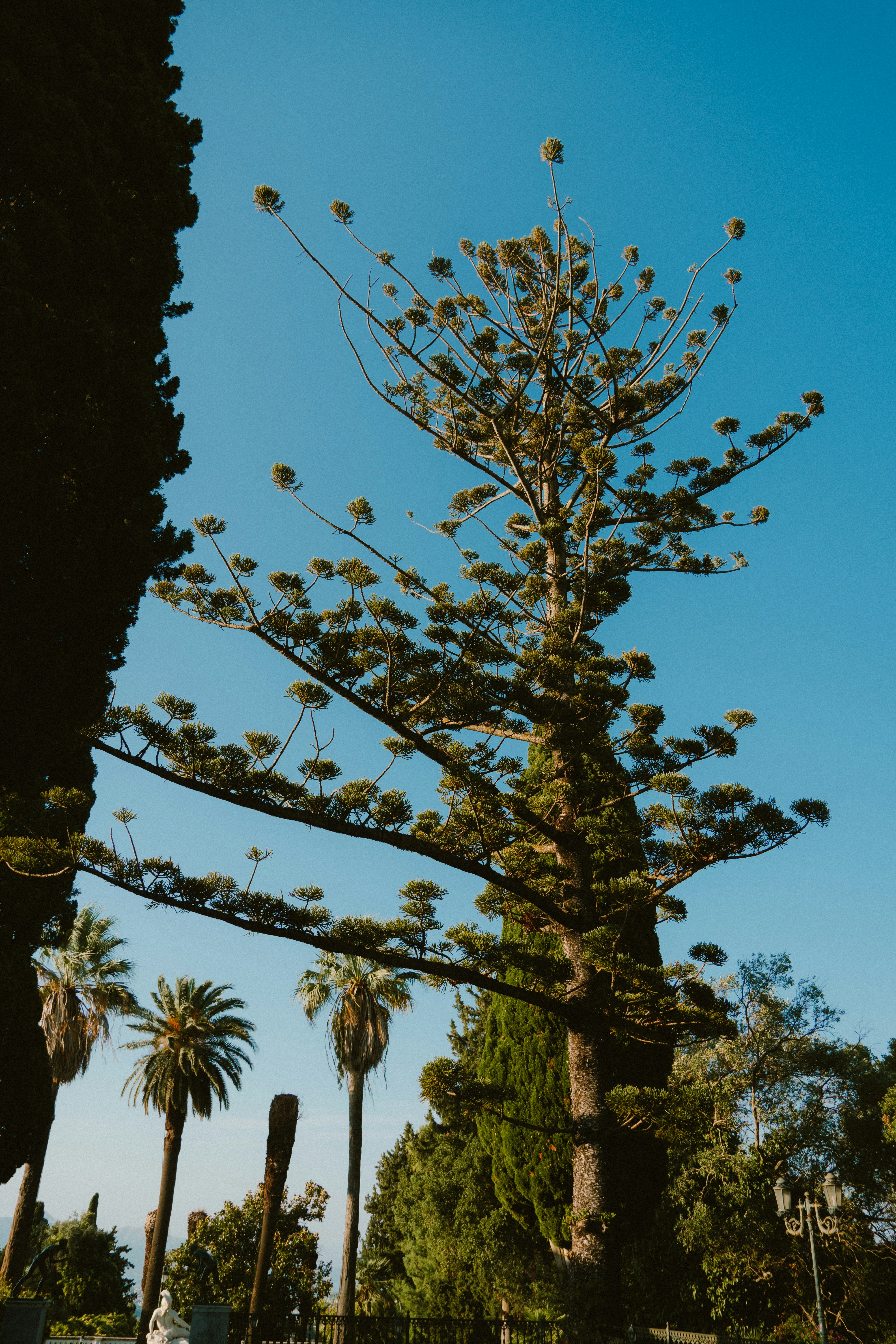 Photo by alexghiurau