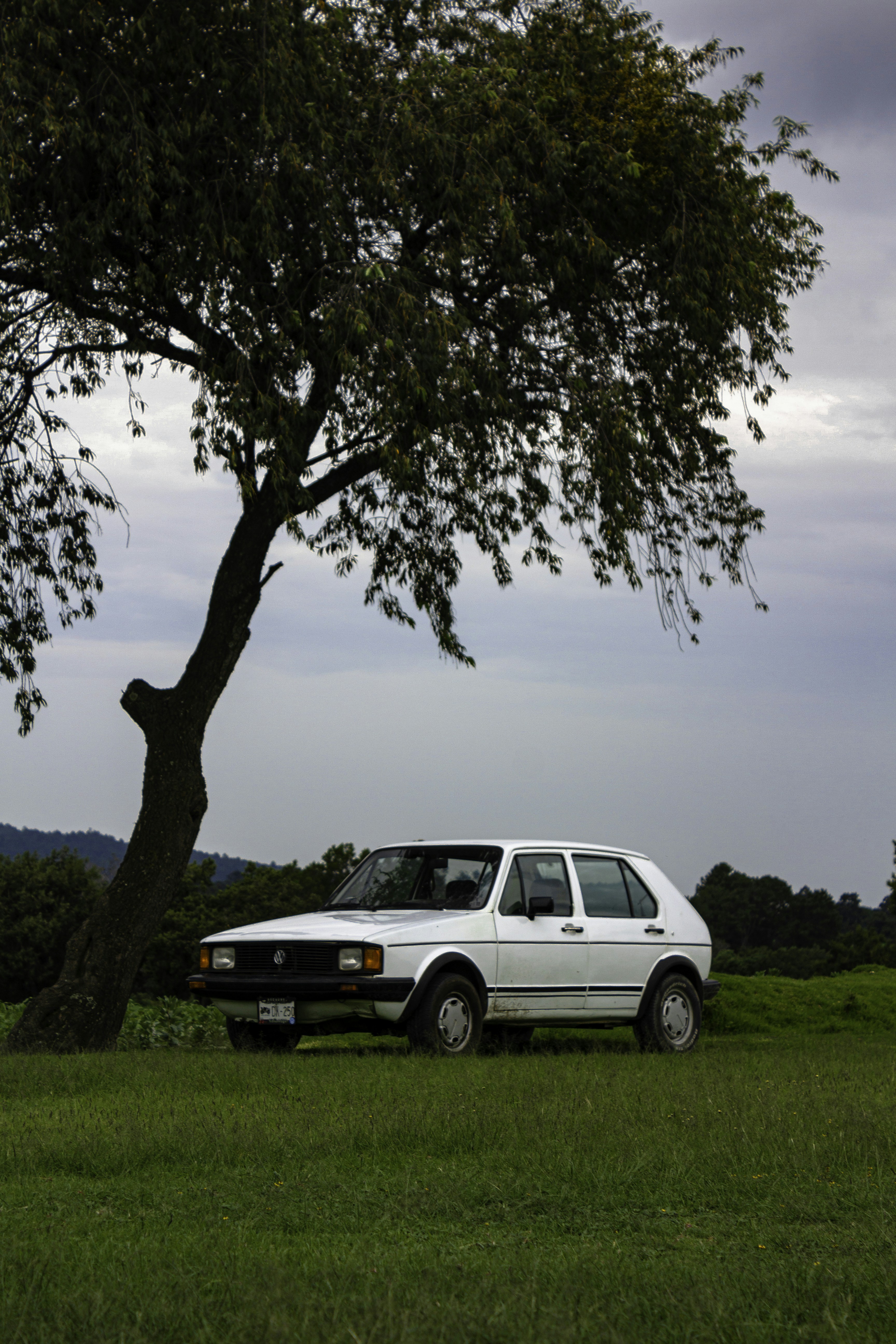 Photo by thalittlemarc