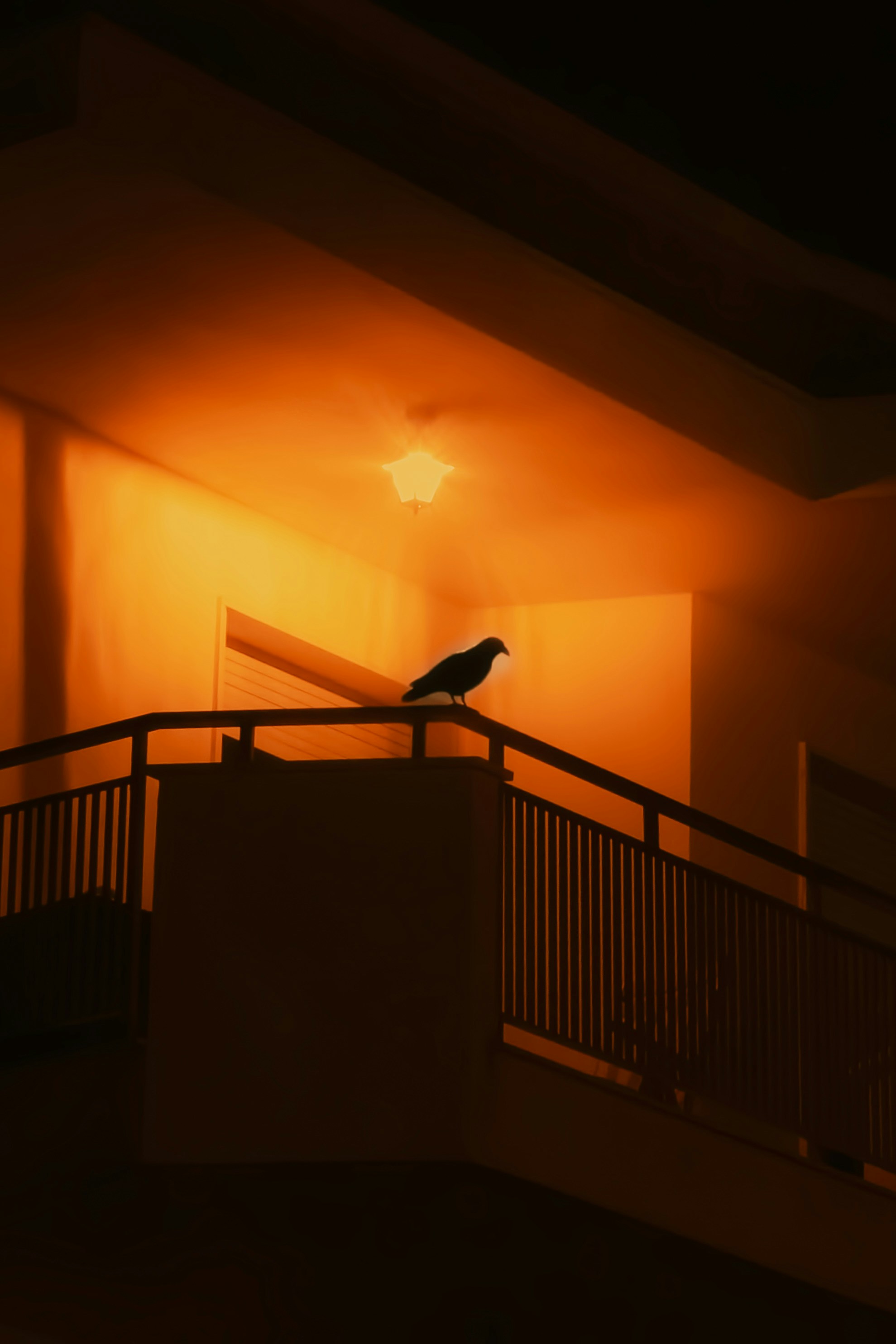 A bird sitting on top of a balcony at night