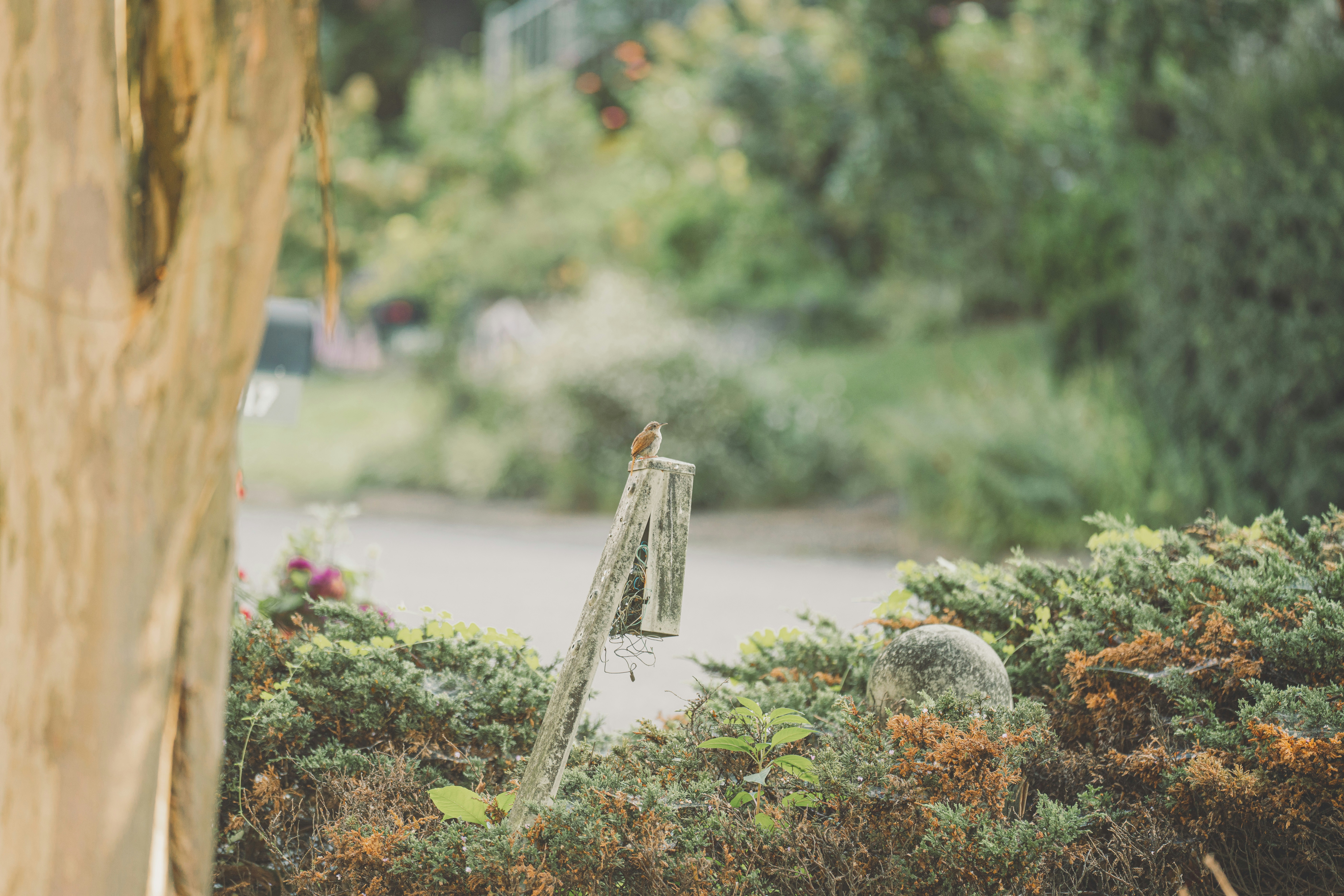 Photo by keepitchassephotography