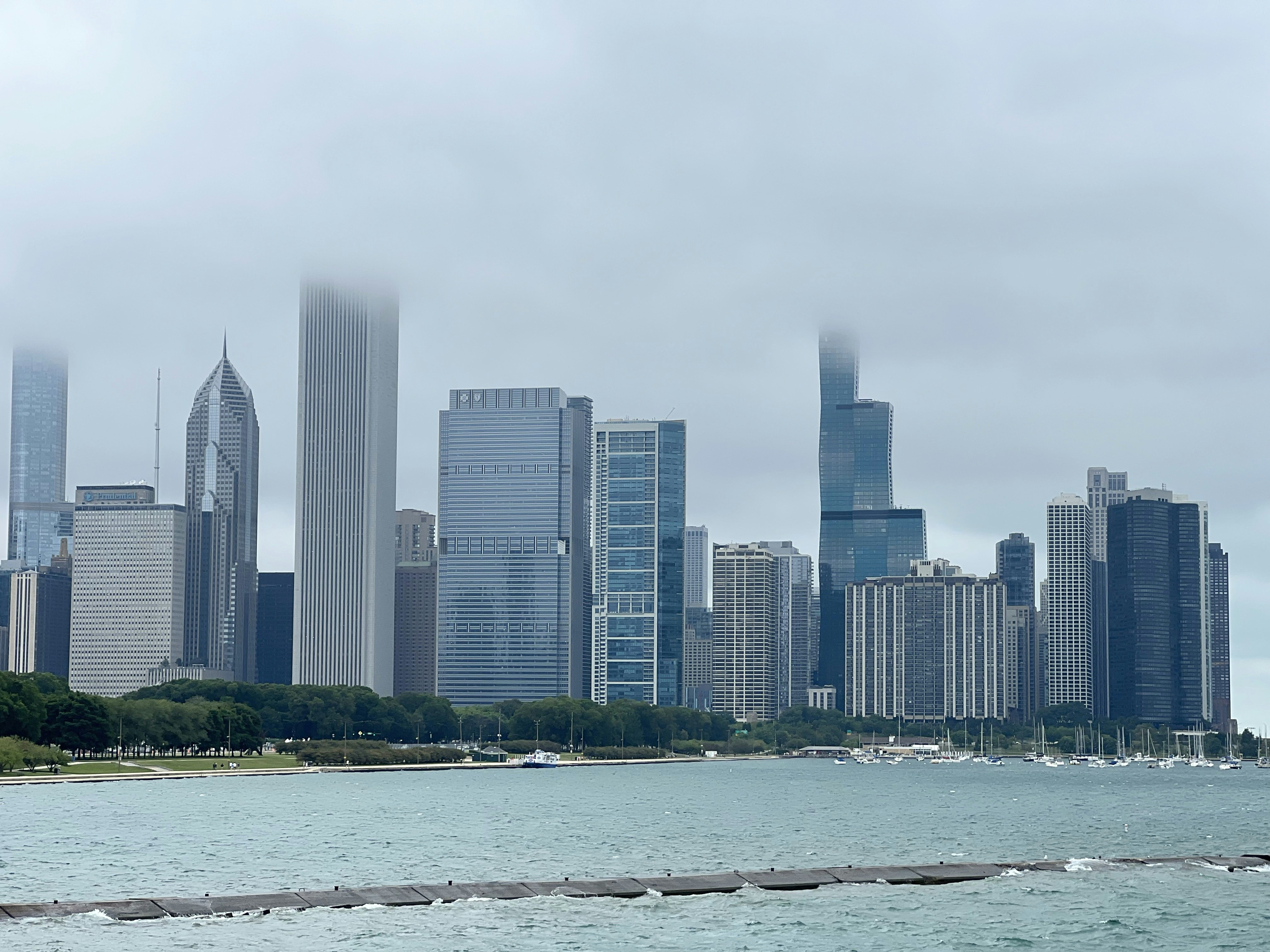 shedd aquarium