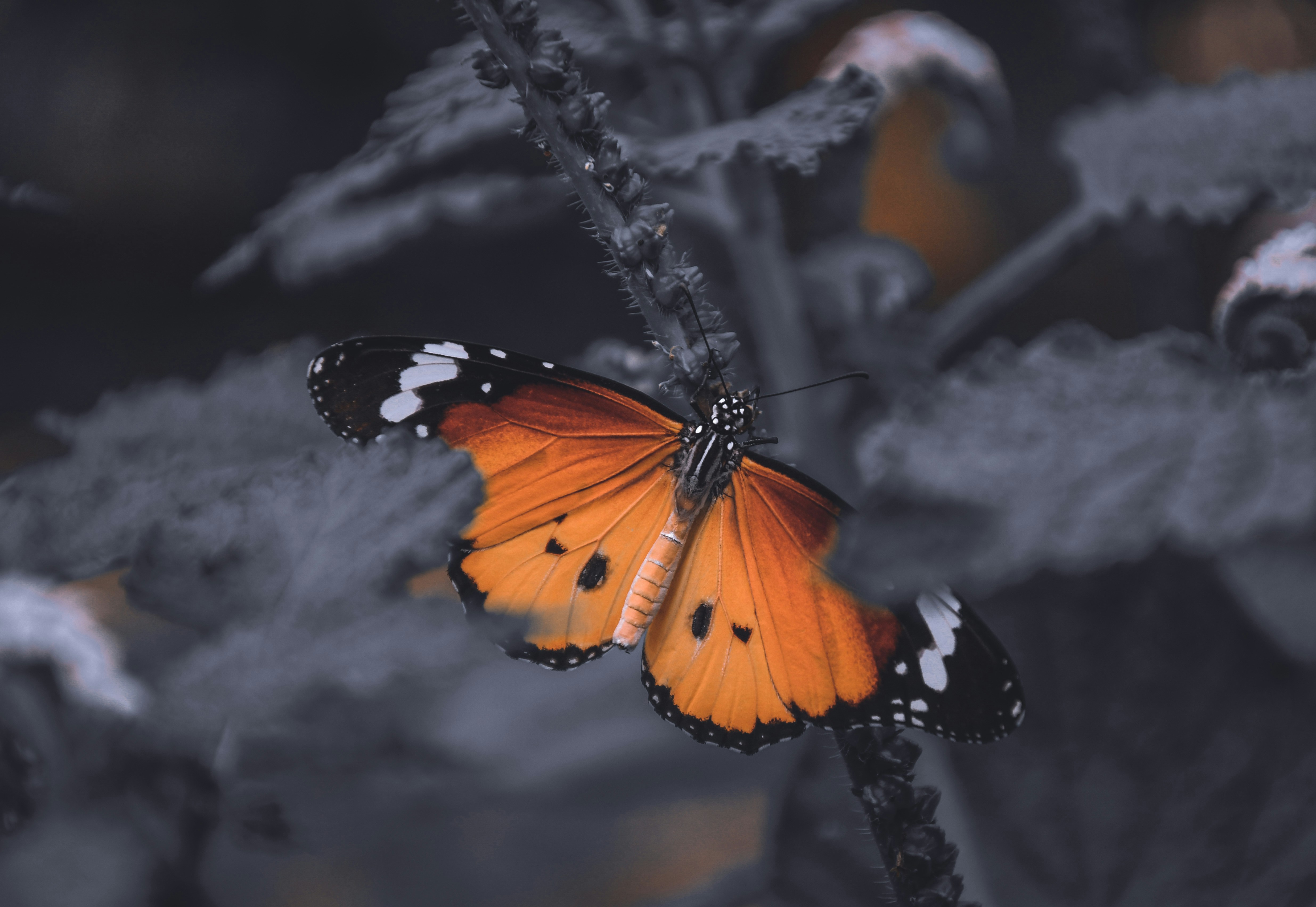 Photo by travelxgrapher