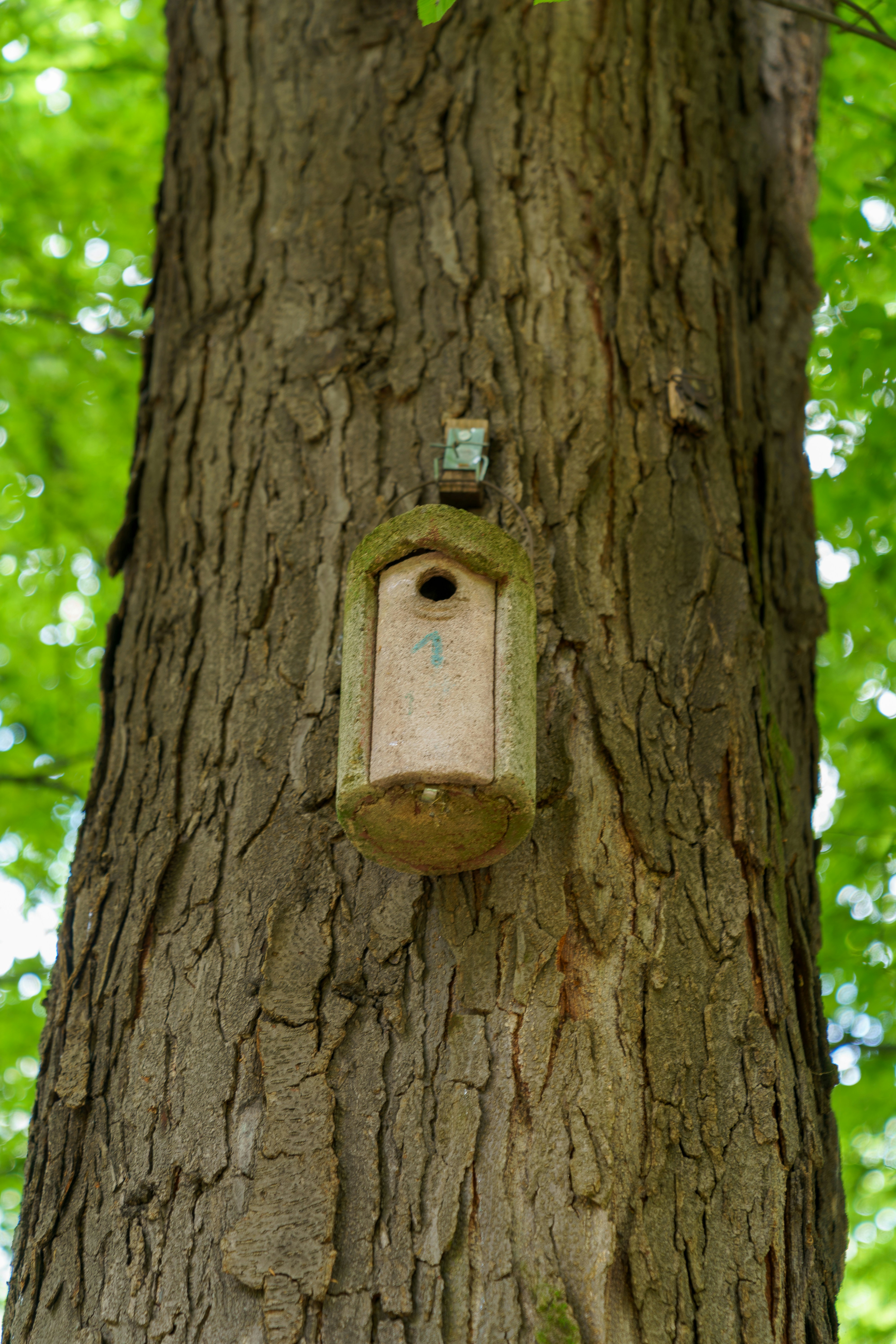 Photo by bangscreative