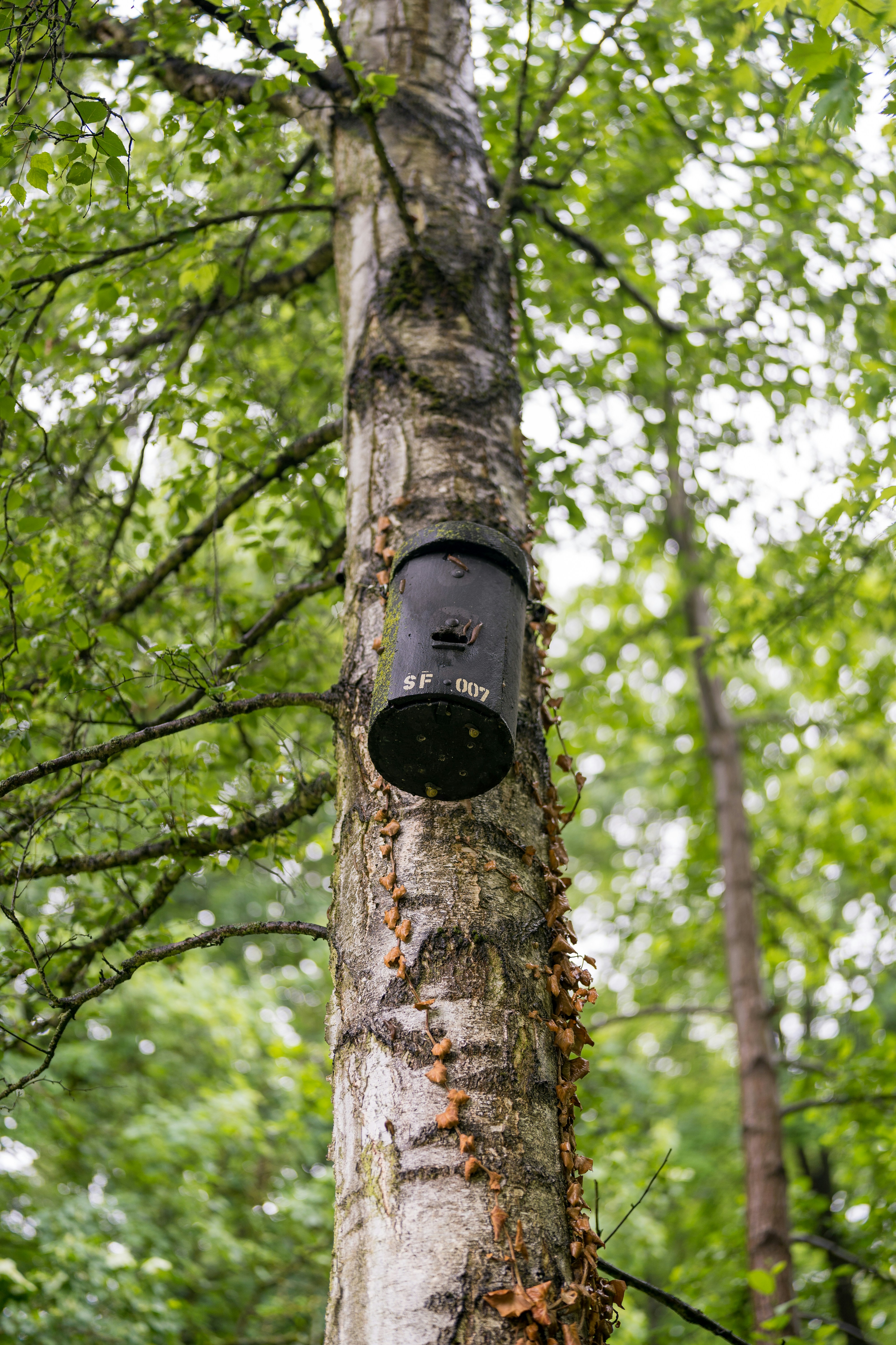 Photo by bangscreative