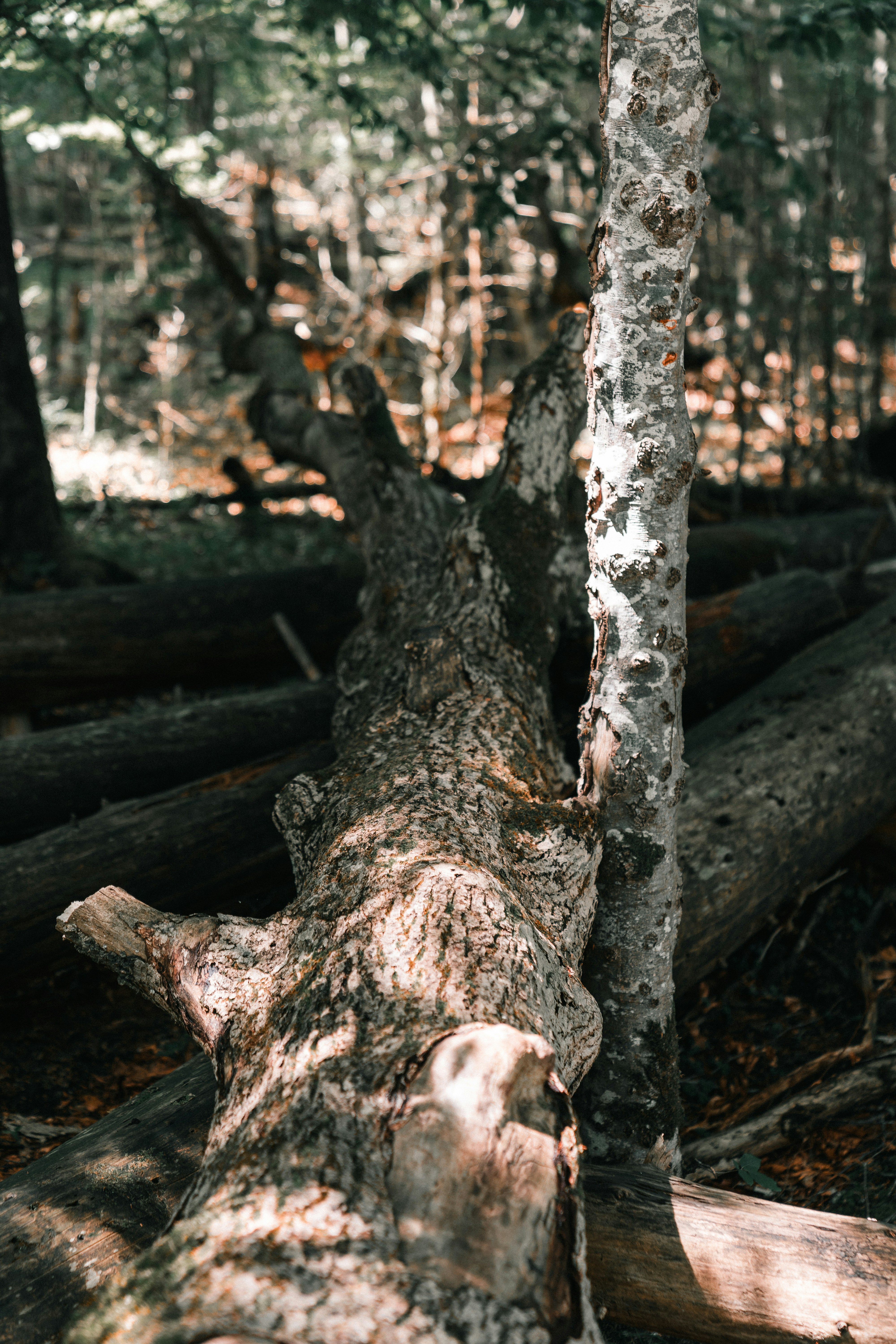Photo by bangscreative