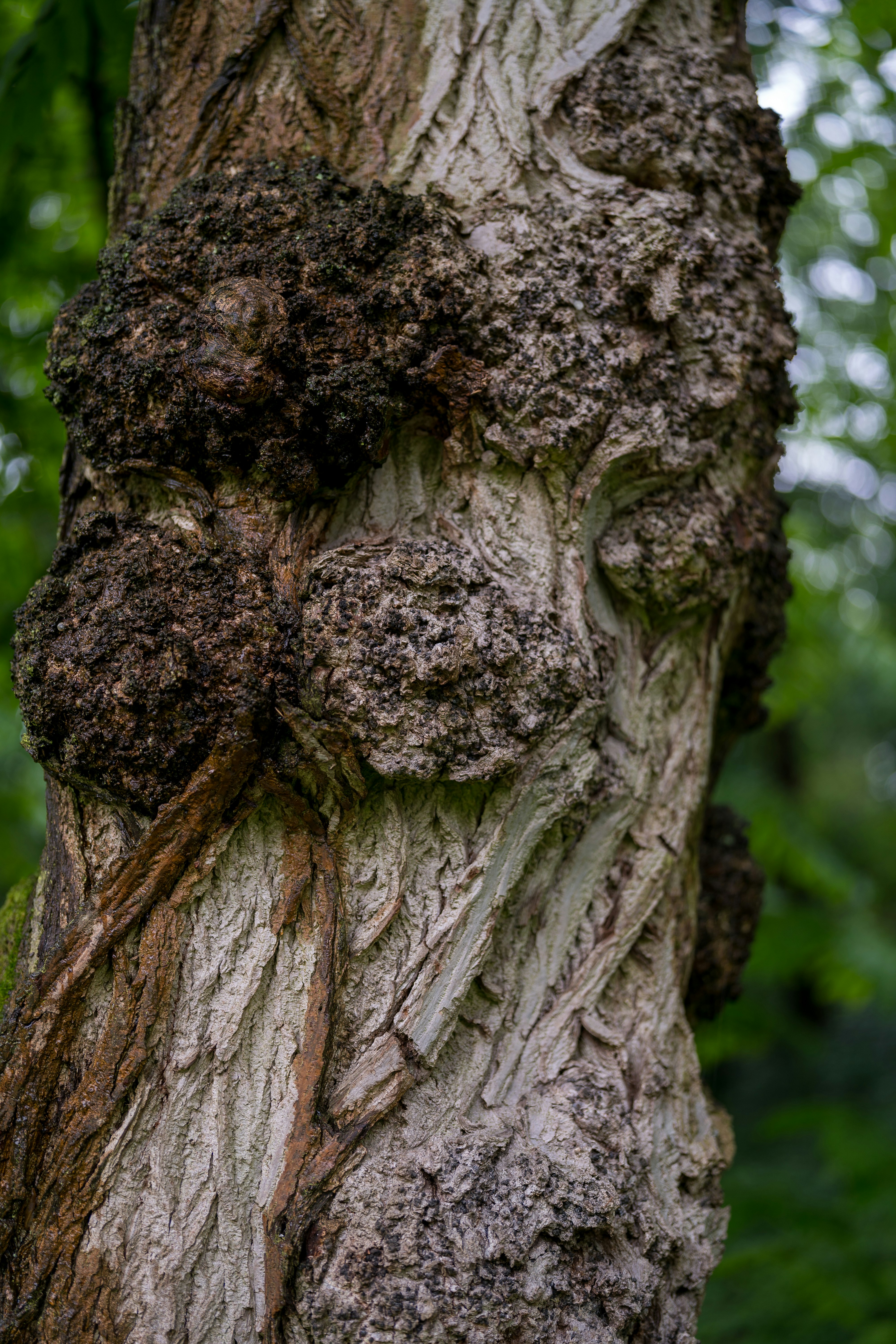 Photo by bangscreative