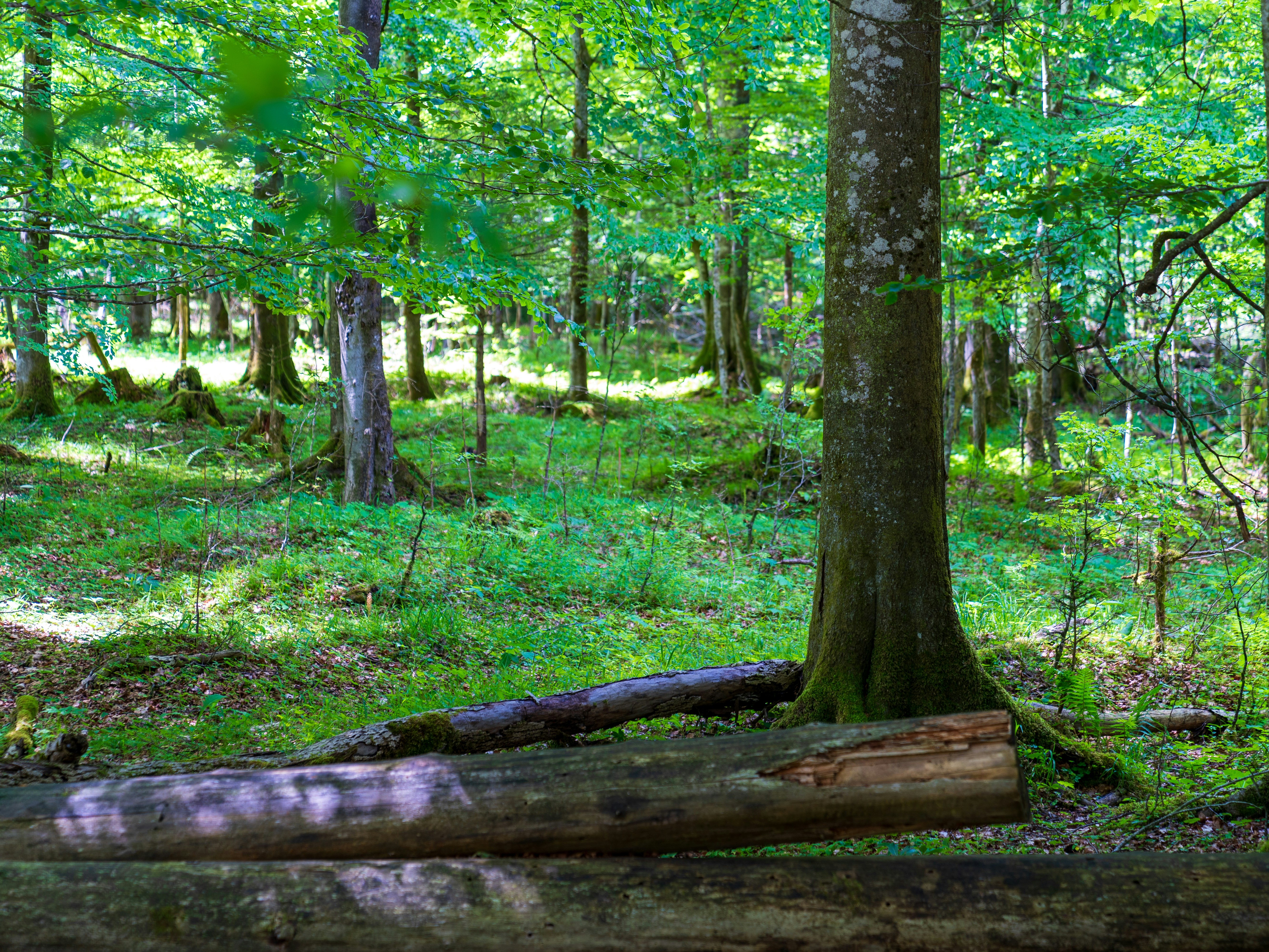 Photo by bangscreative