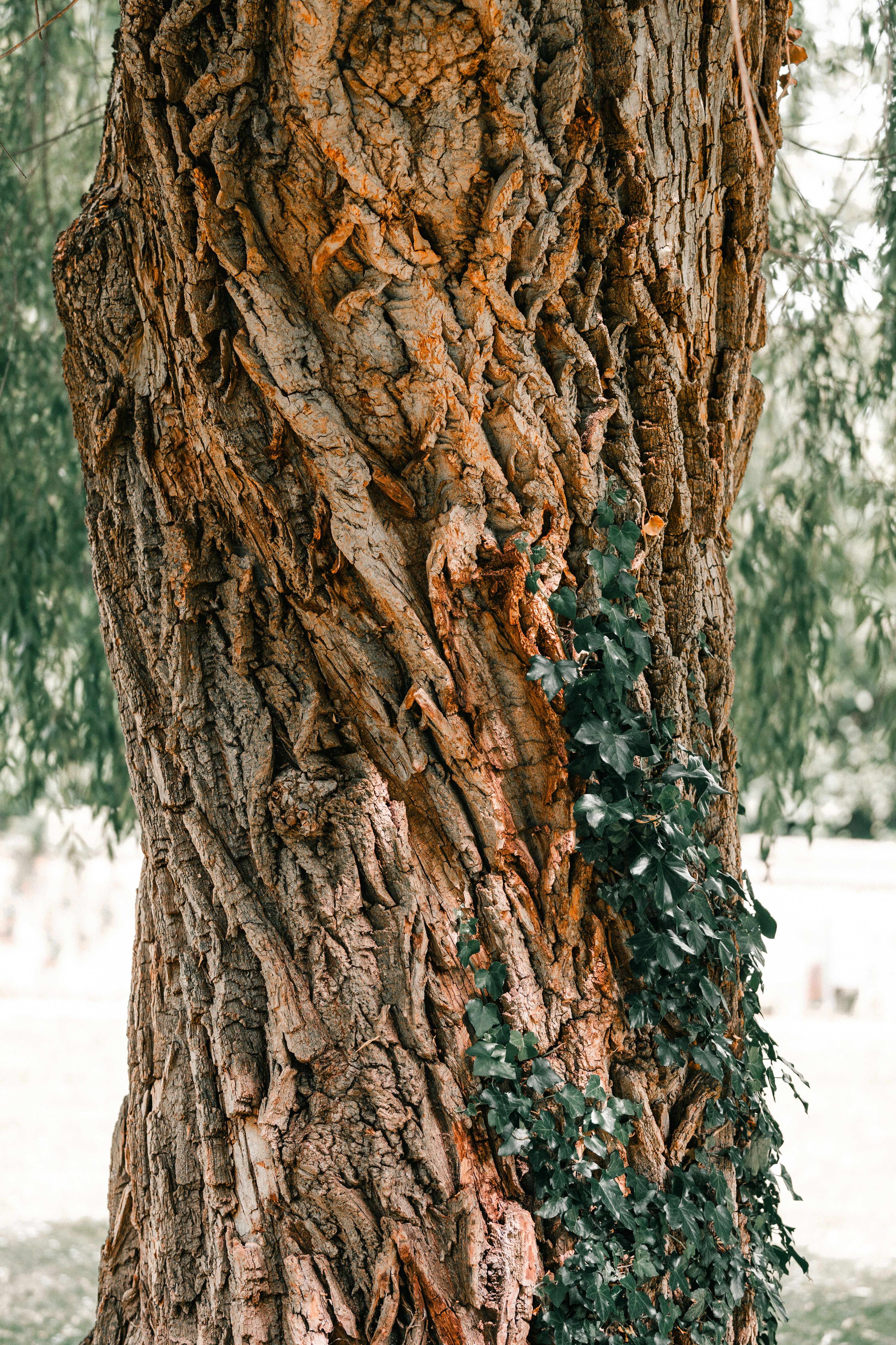 Photo by bangscreative