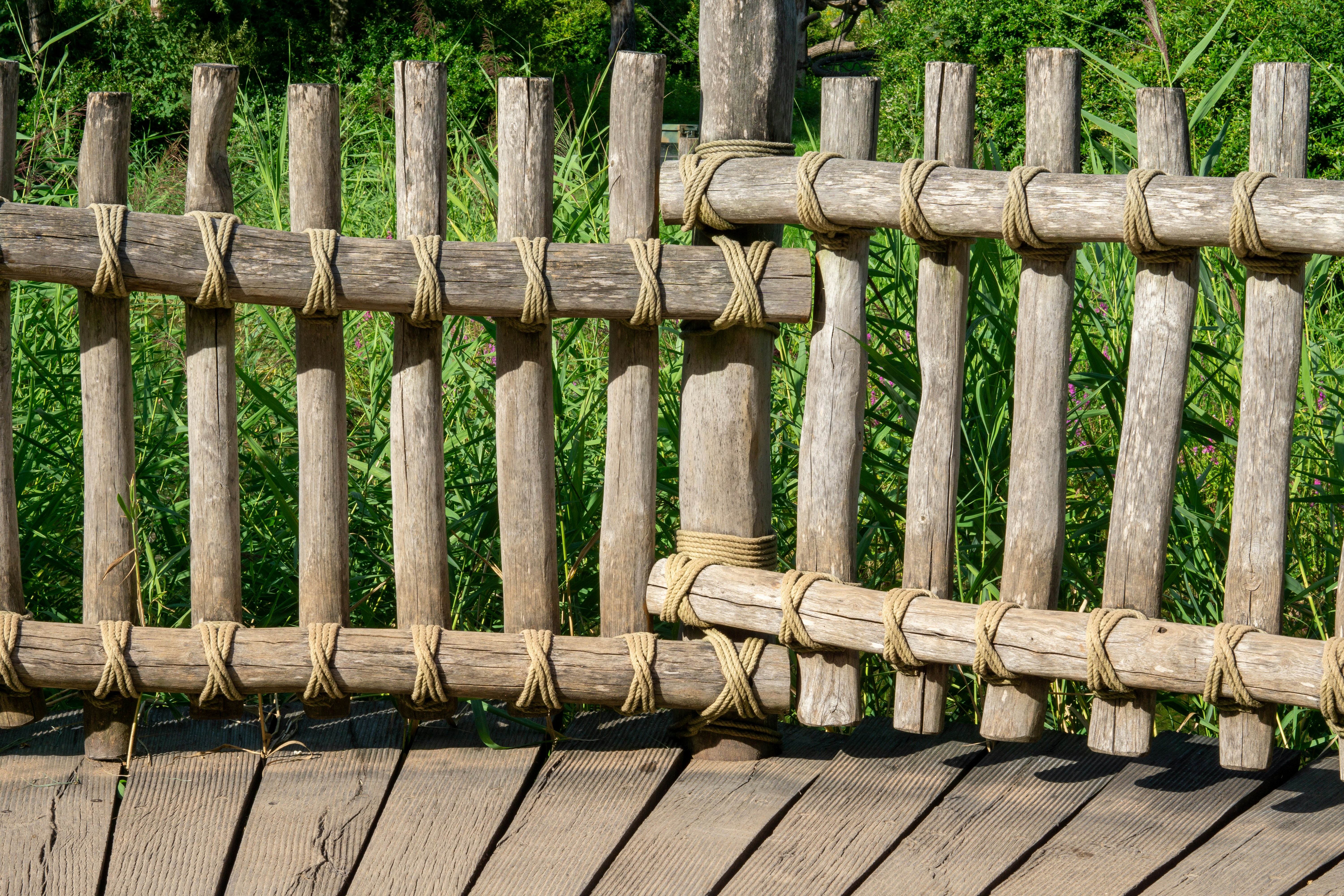 Photo by bangscreative