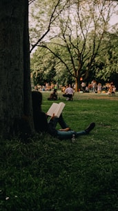 A person sitting under a tree reading a book