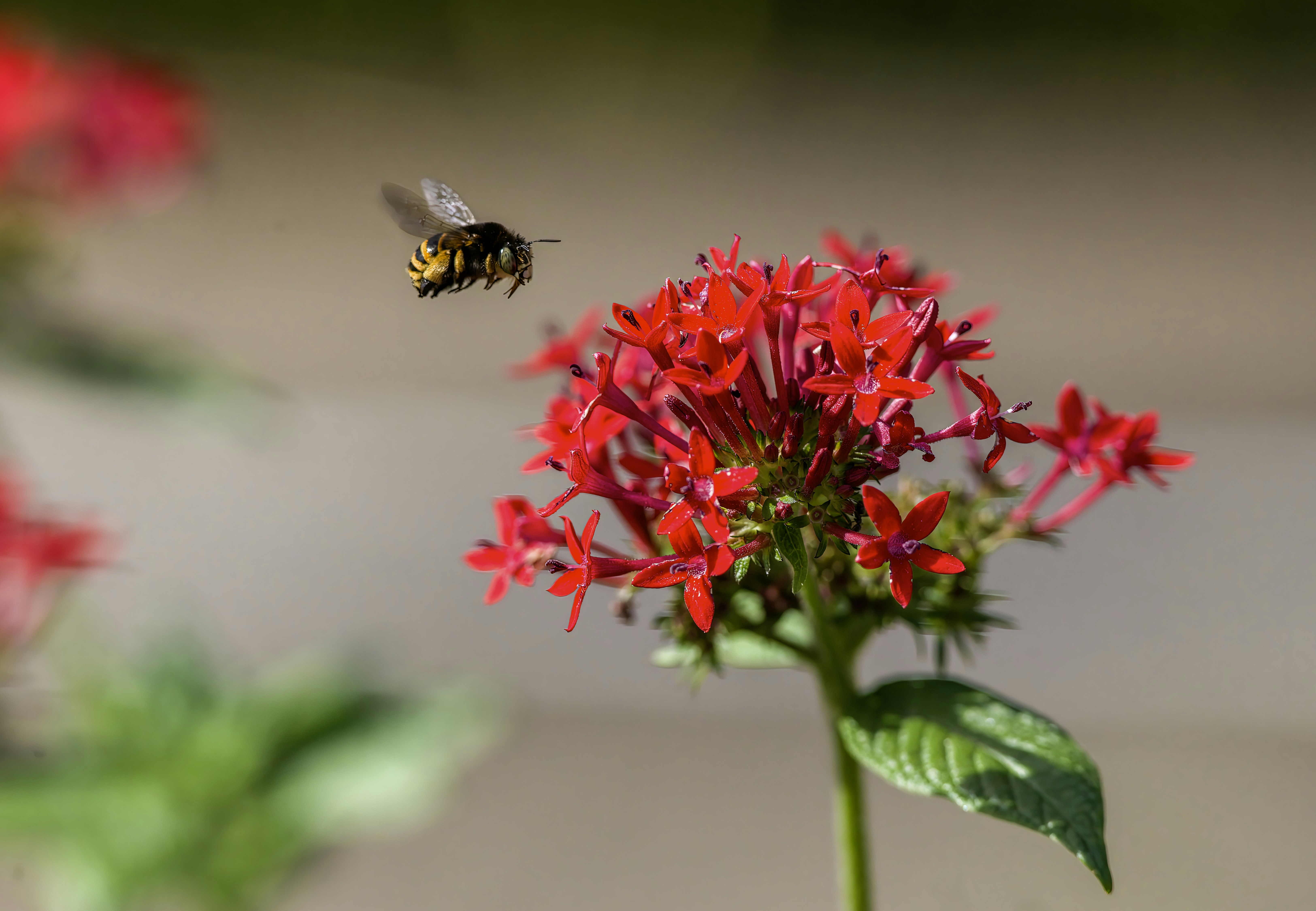 Photo by erik_karits